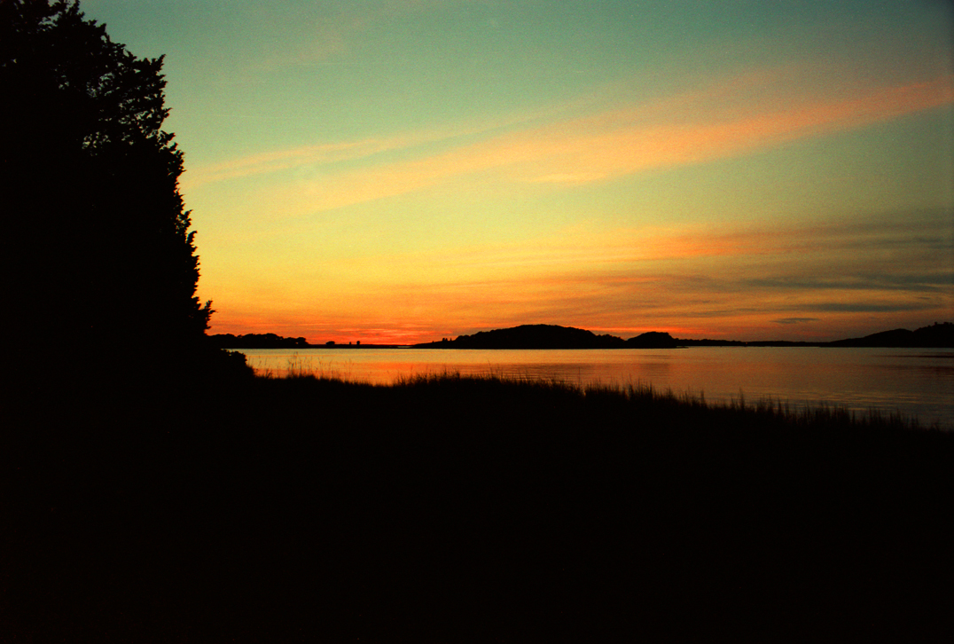 Sunset at Monk's Cove - Salmon