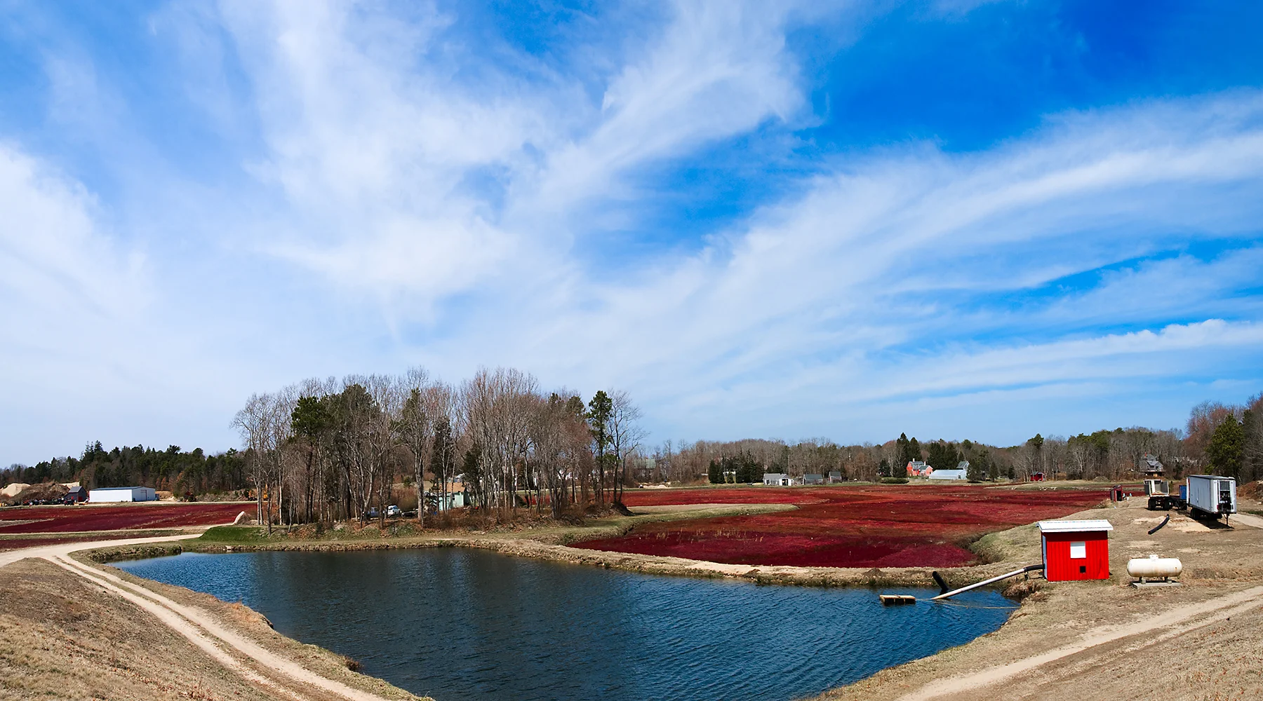 Bog Paanorama