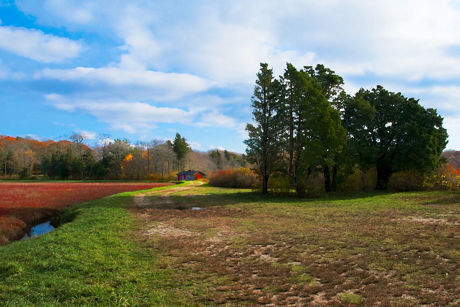 Wing Pond