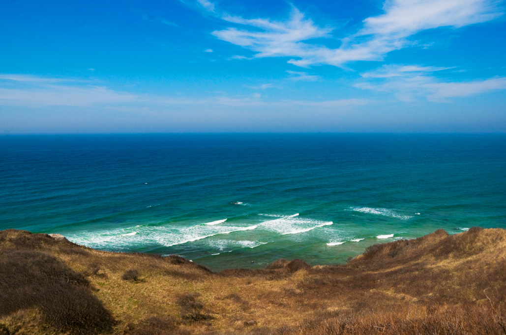 Please click on the image if you would like to order a print or note cards.