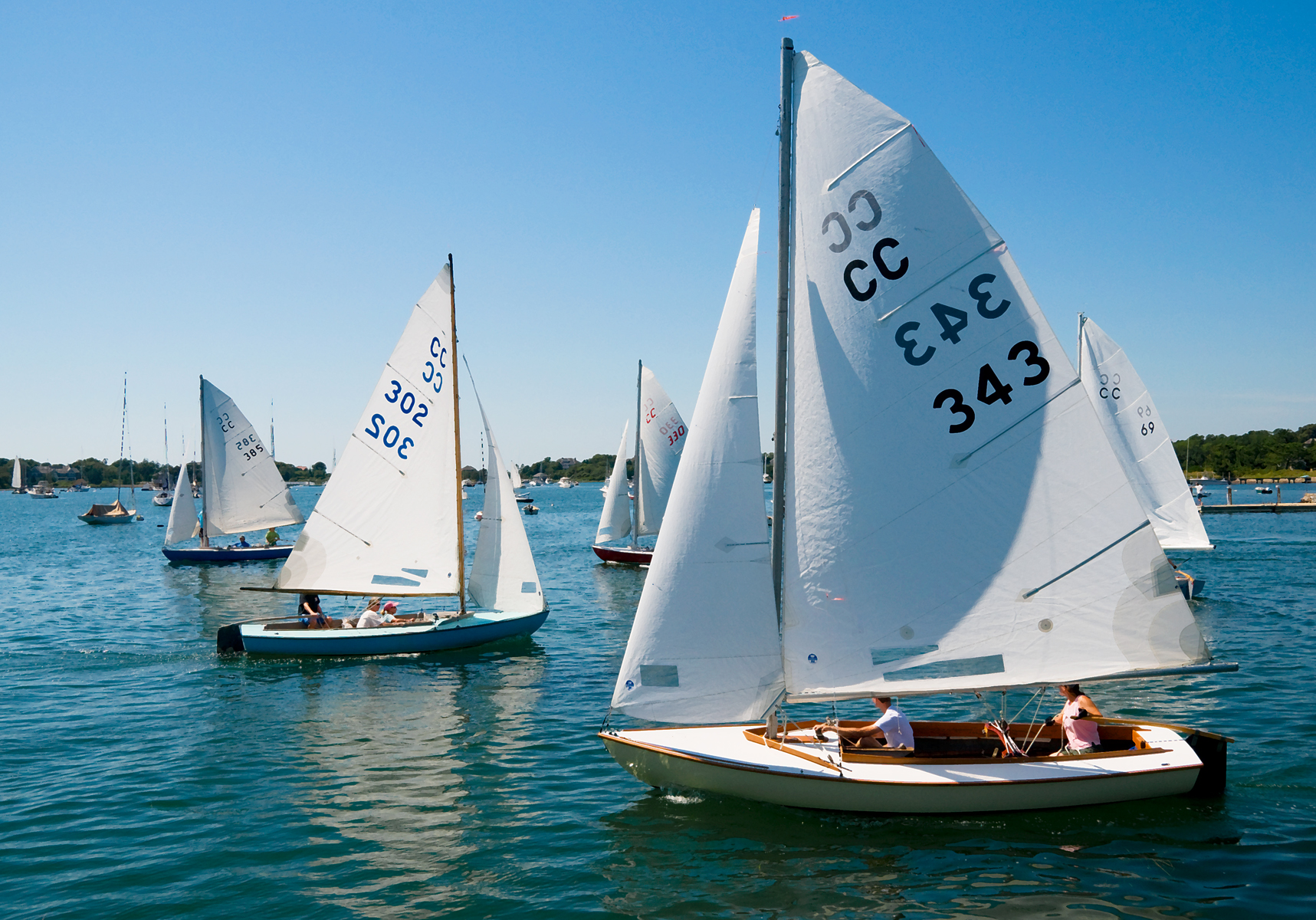 Start of the Race