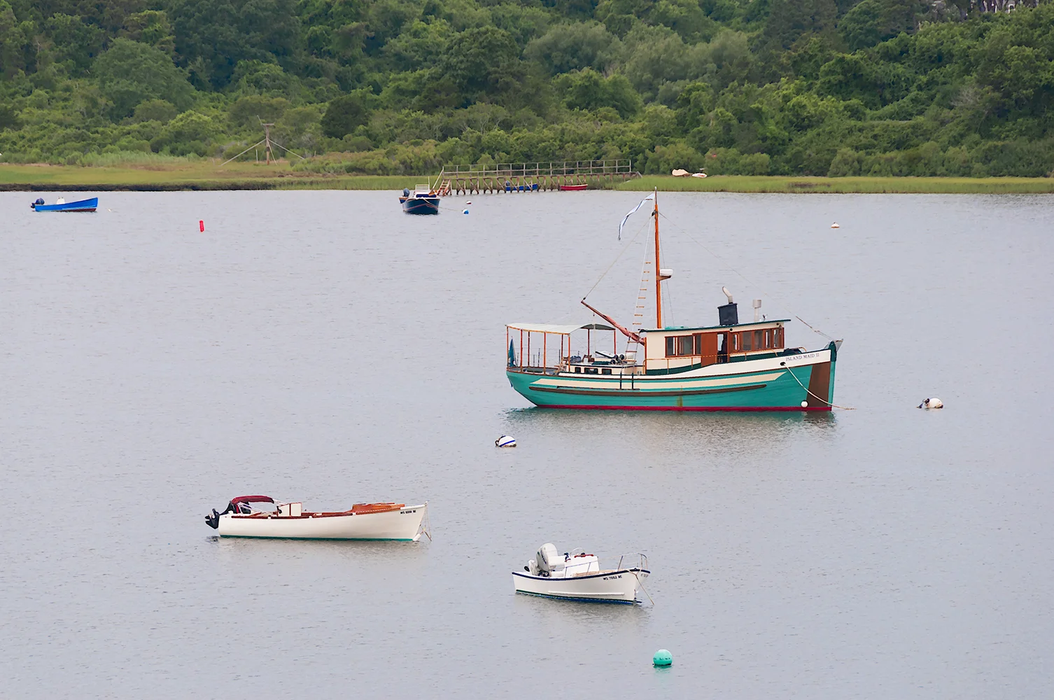 Still Life on Mill Pond