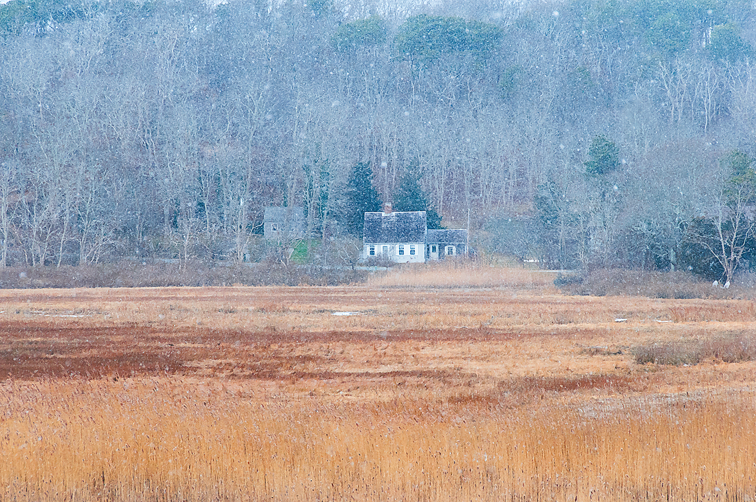 A Pamet Dusting