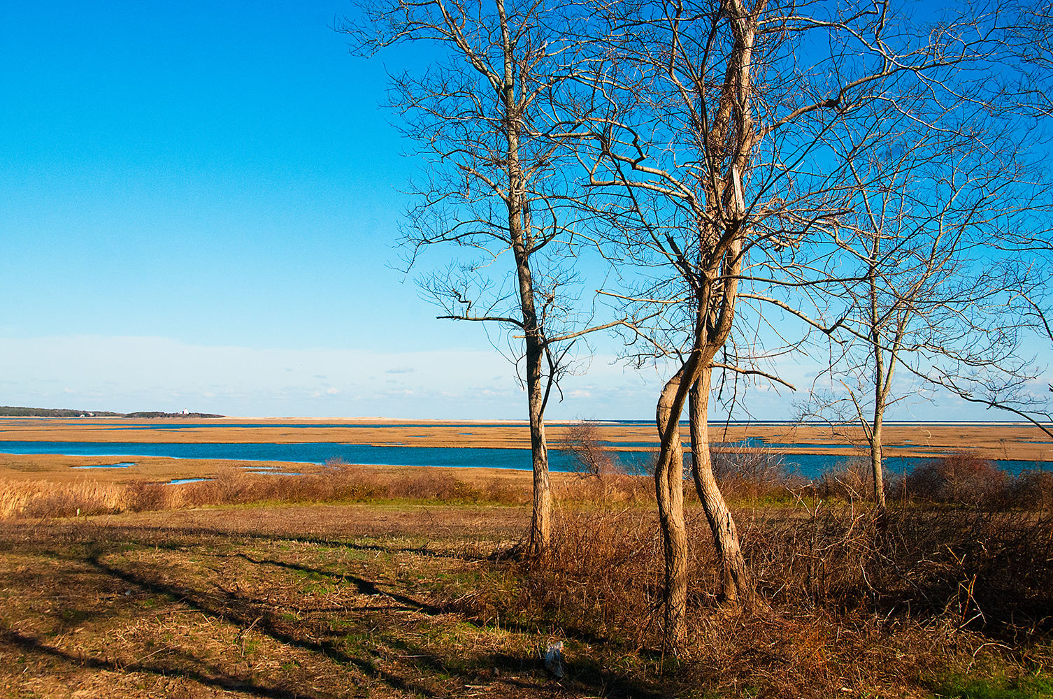 A Walk at Fort Hill