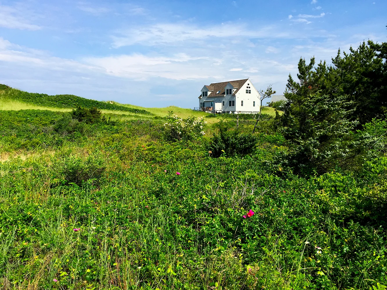 house in the morning, corn hill
