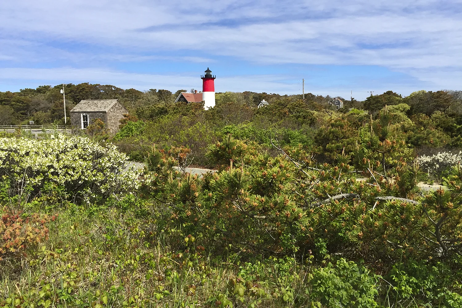 Nauset Light