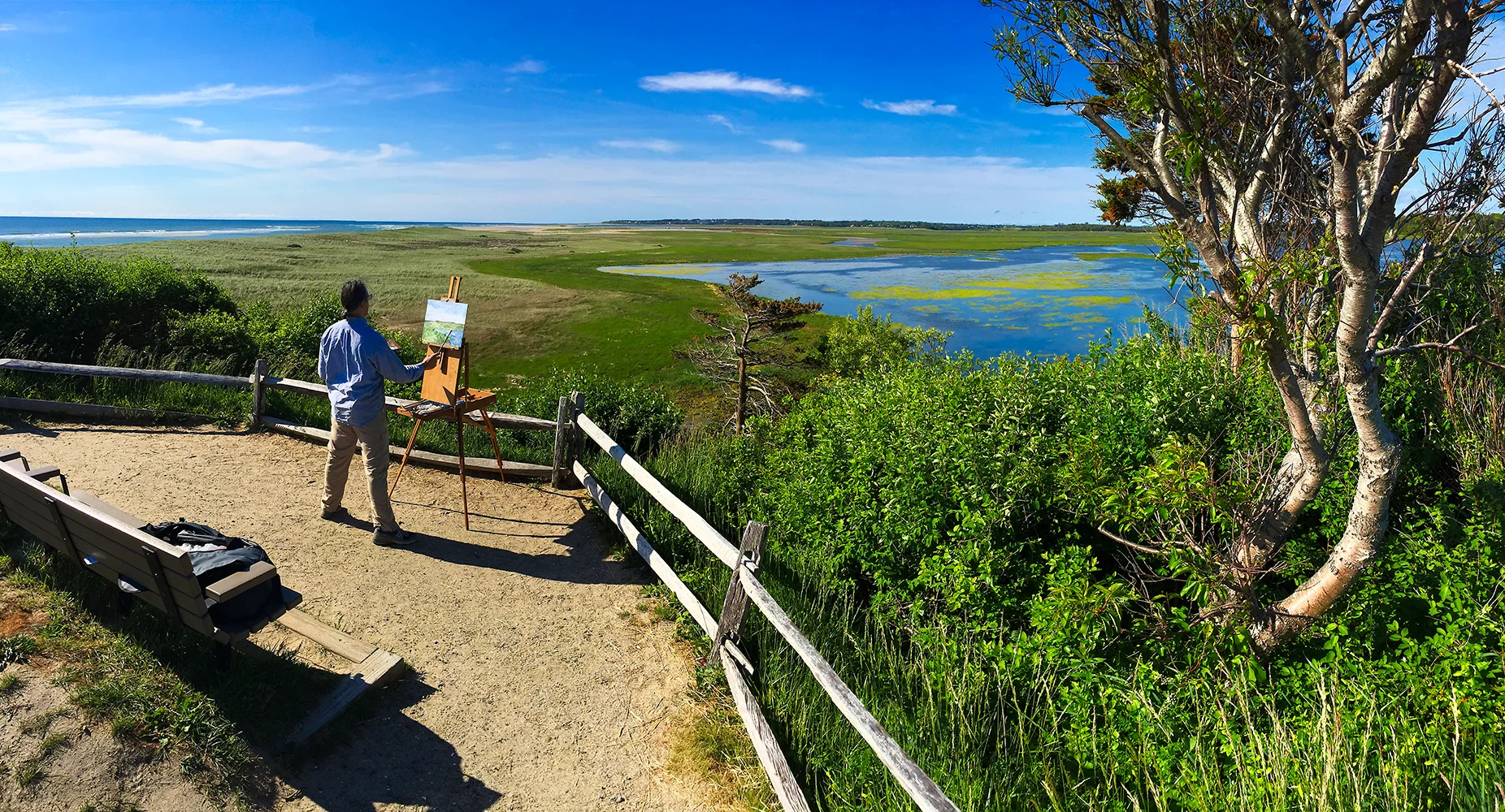Painting Nauset Marsh