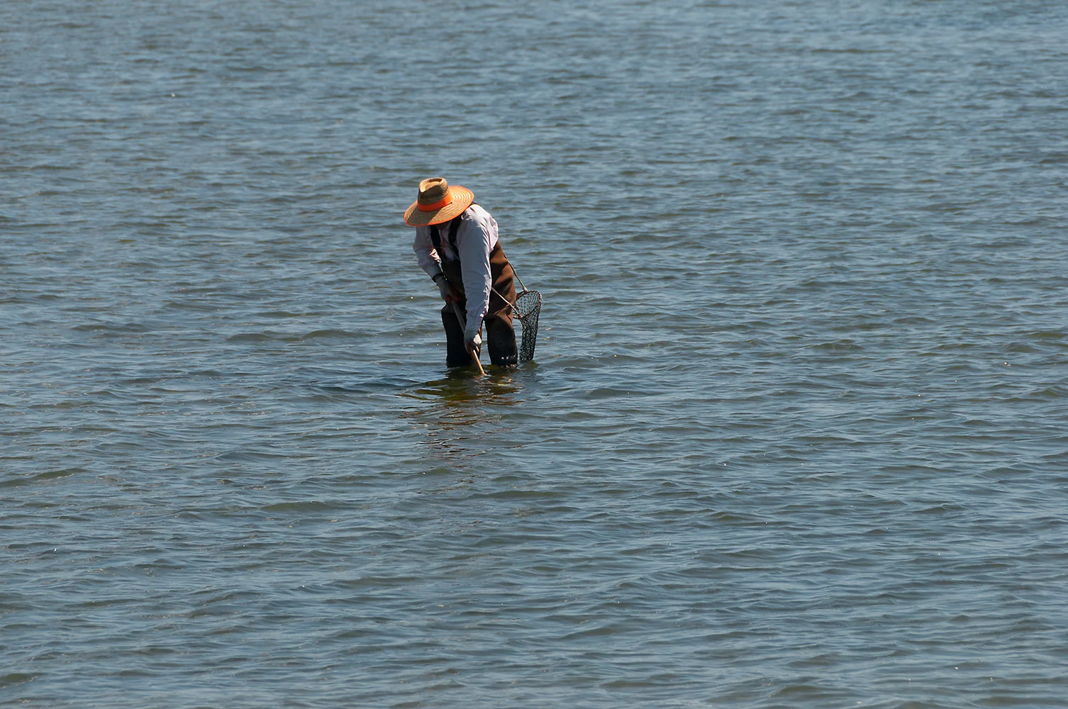 digging clams in the sun (Copy)