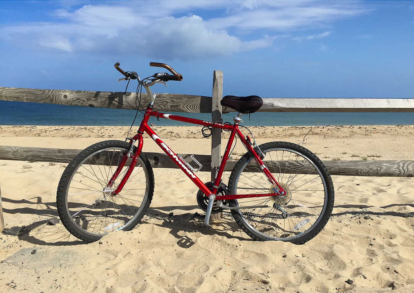 beach bicycle formal