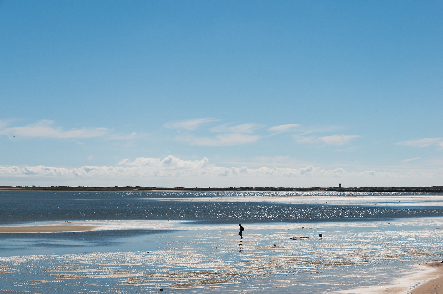 alone at low tide