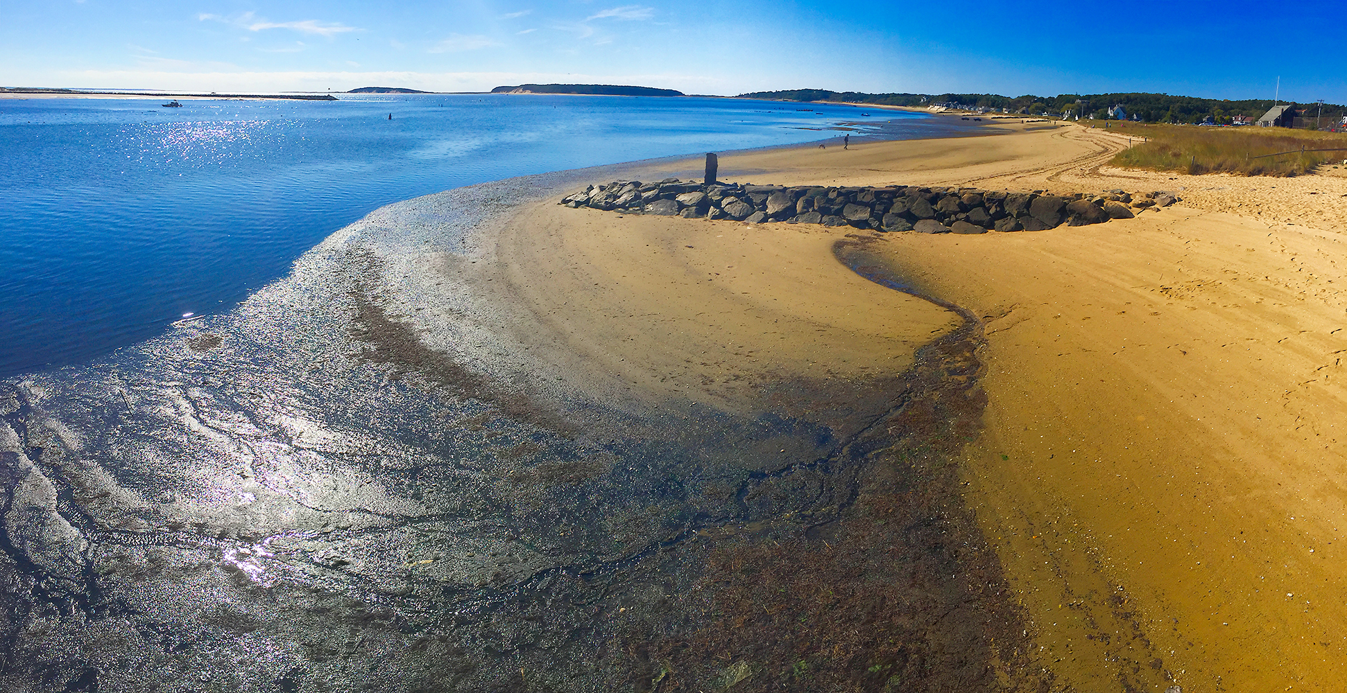 Low Tide High Sun