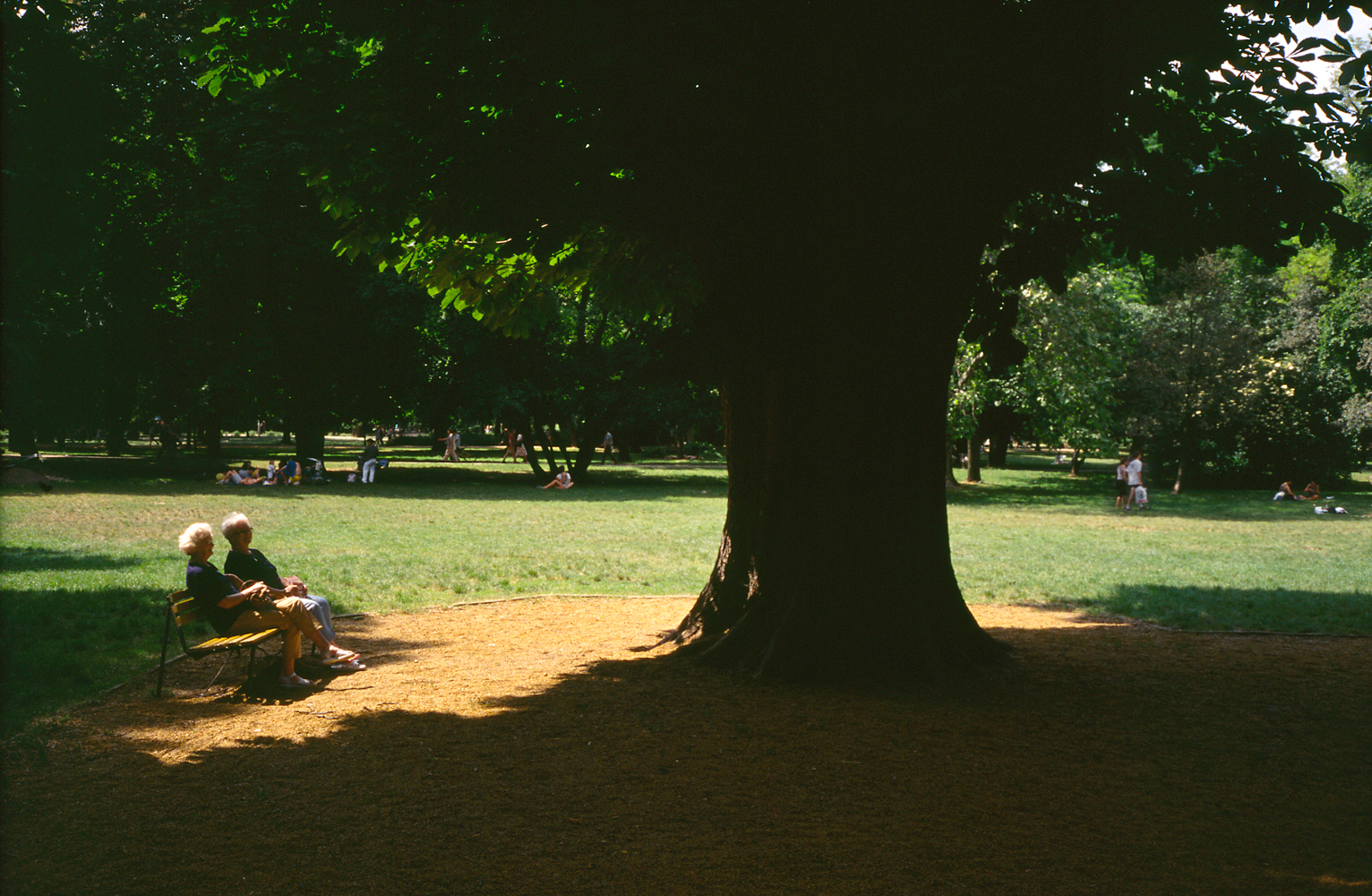 under a shady tree