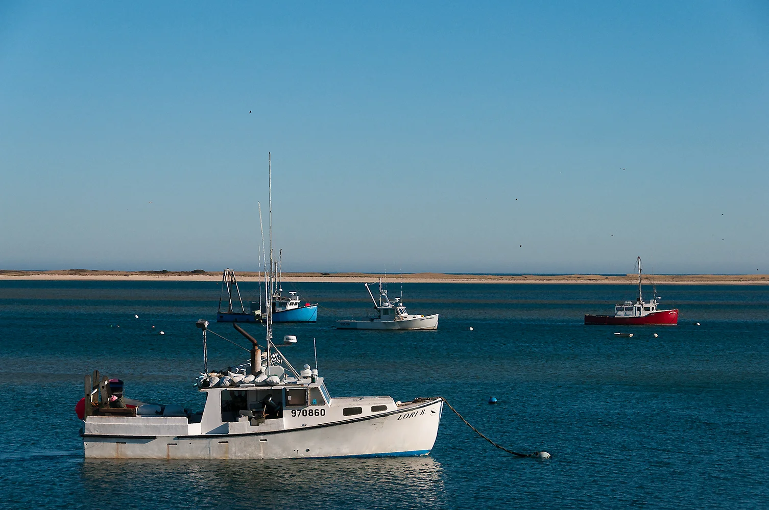 The Fleet (Copy)