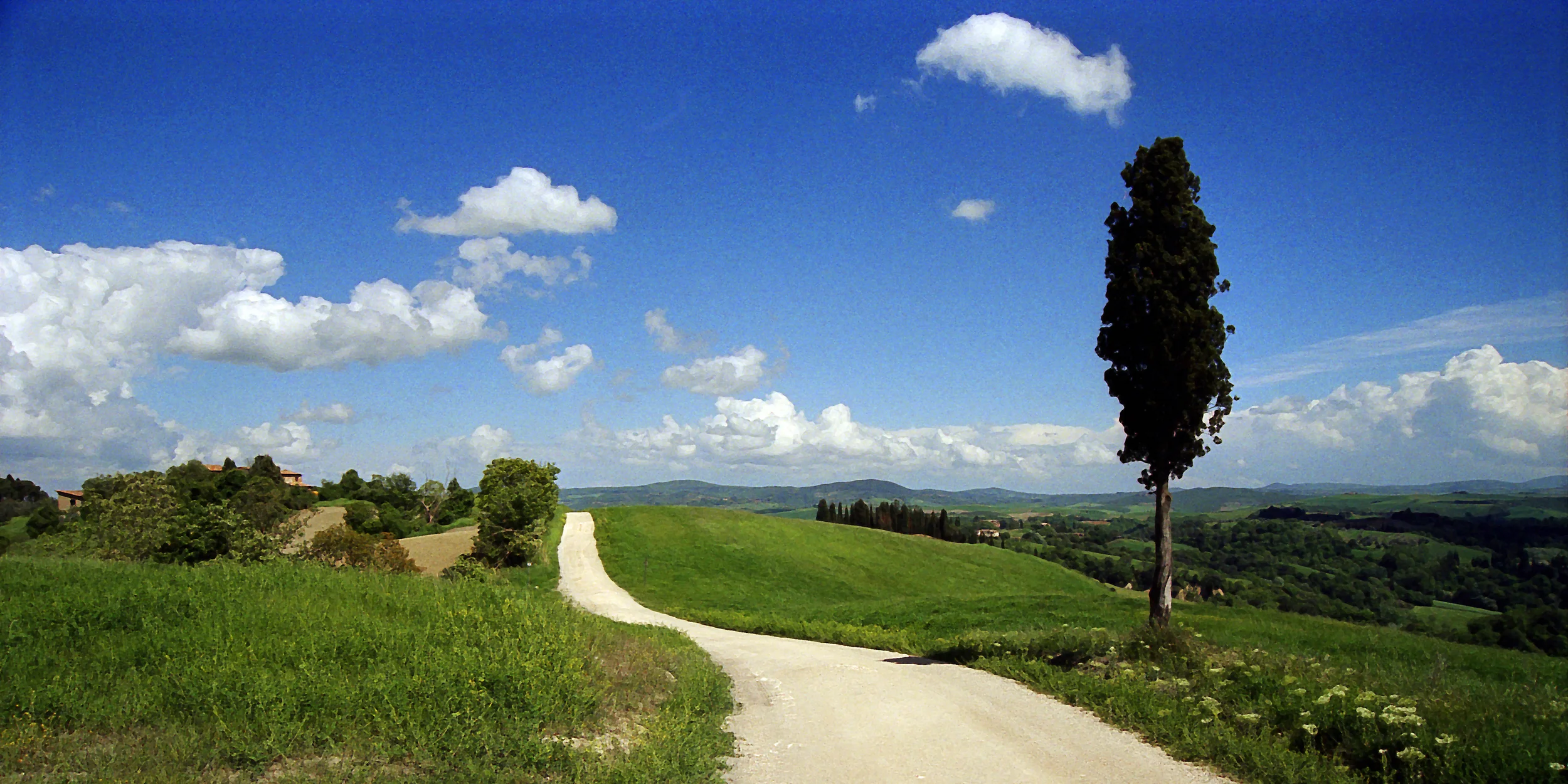 Robert_Manz_The_High_Road.jpg