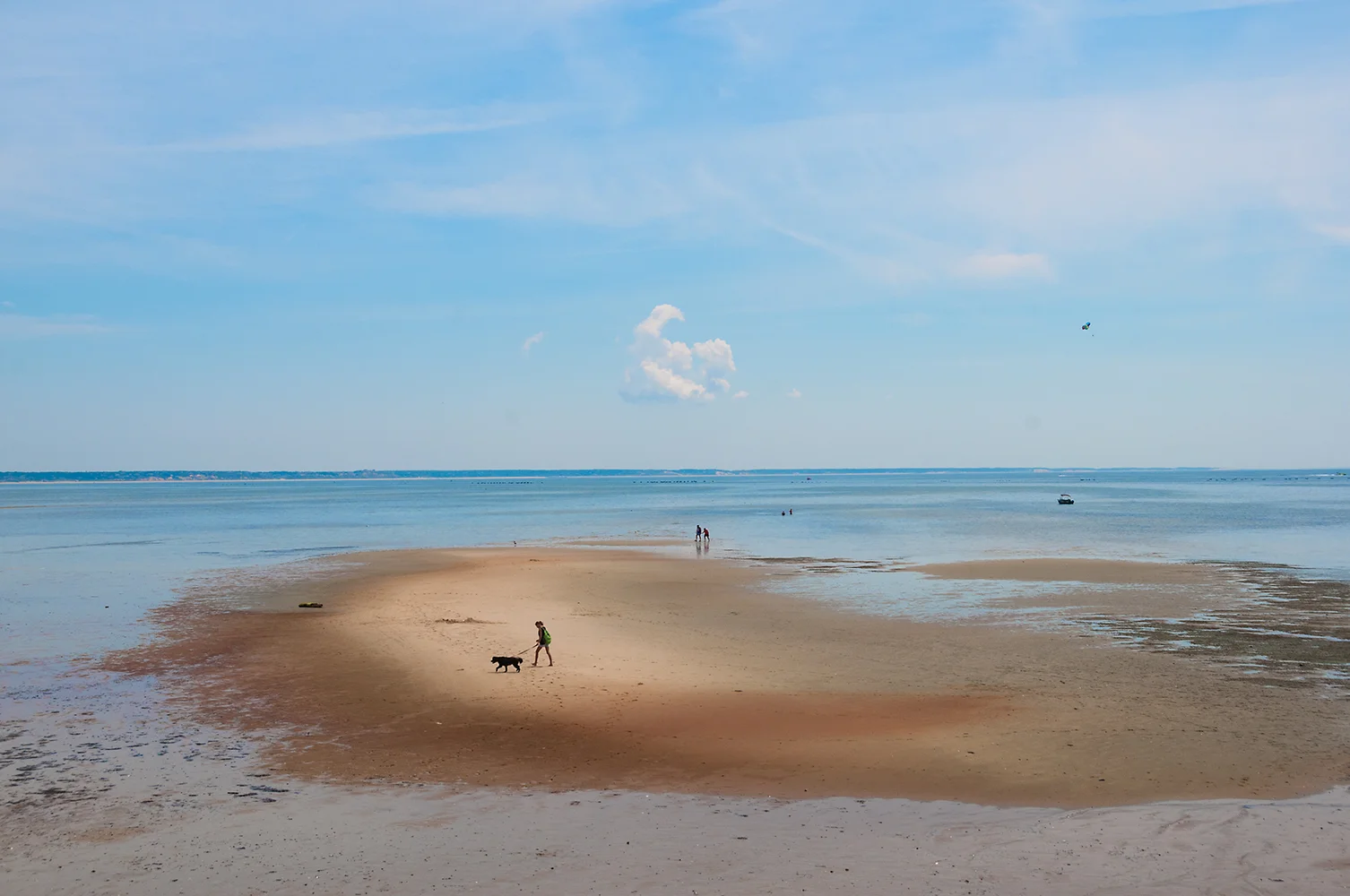 Walk the Dog