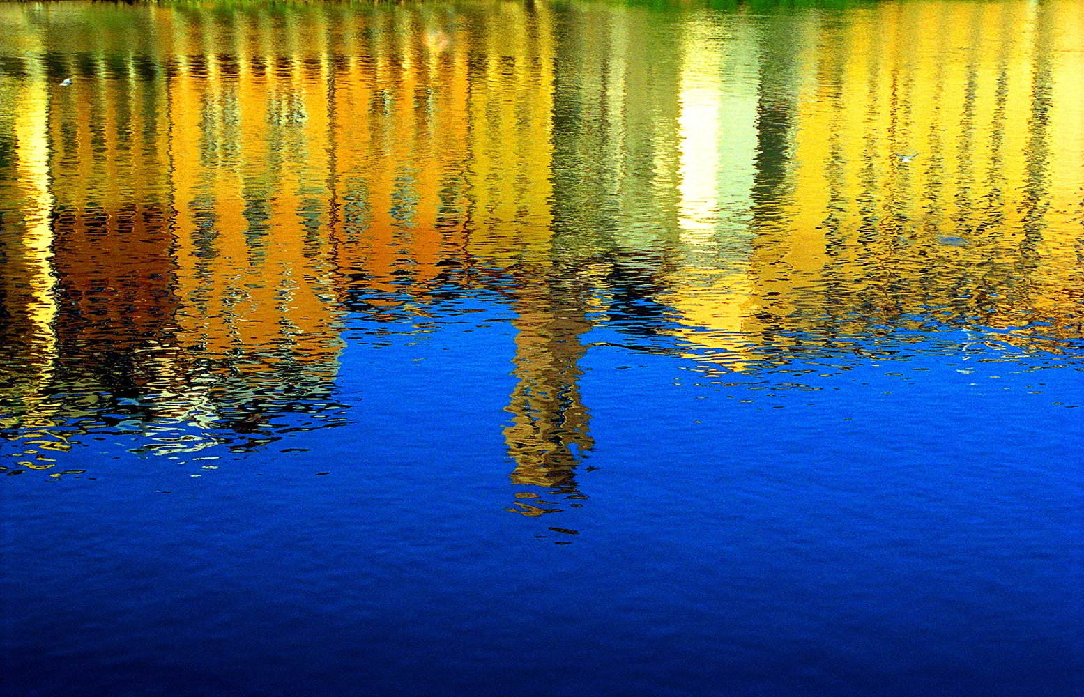 Lungarno Reflections