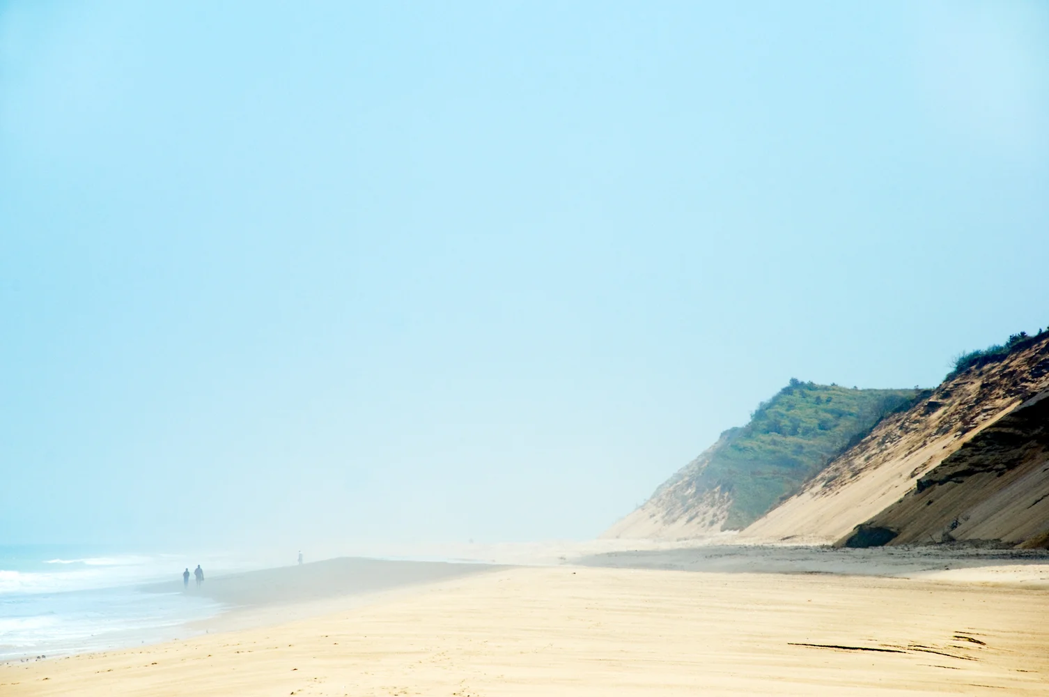 Fog at Newcomb Hollow