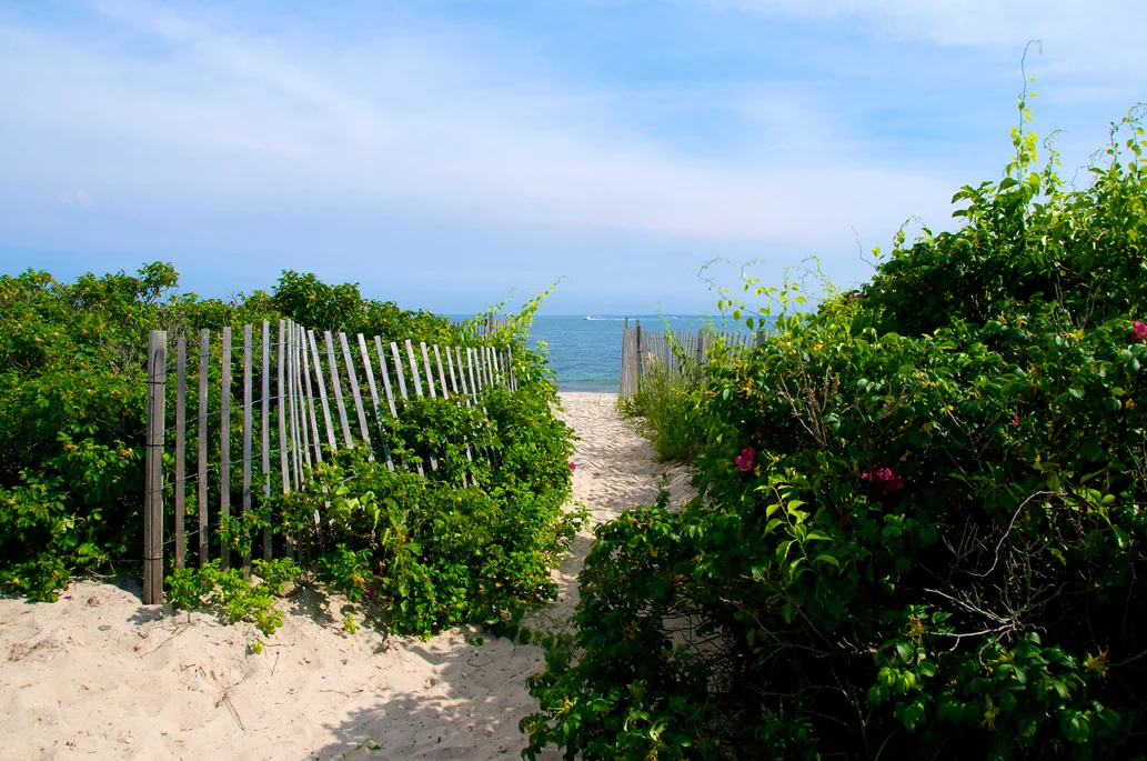 on surf drive.jpg