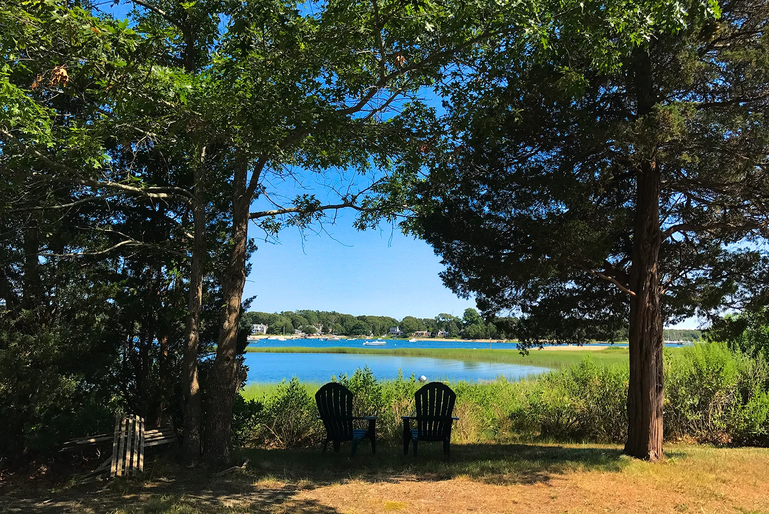 Summer View