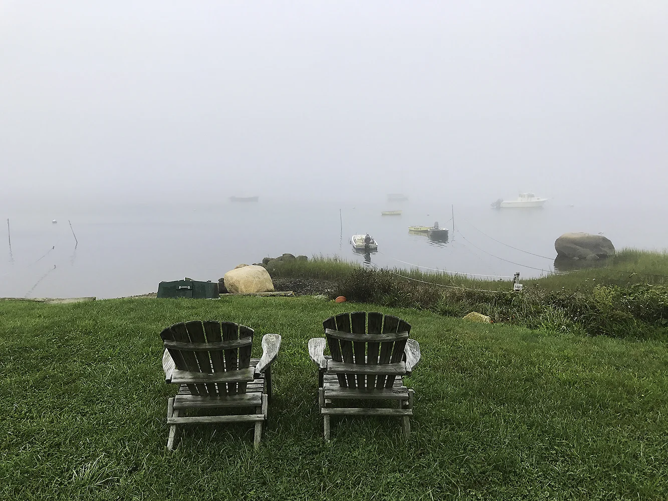 Friendly Fog