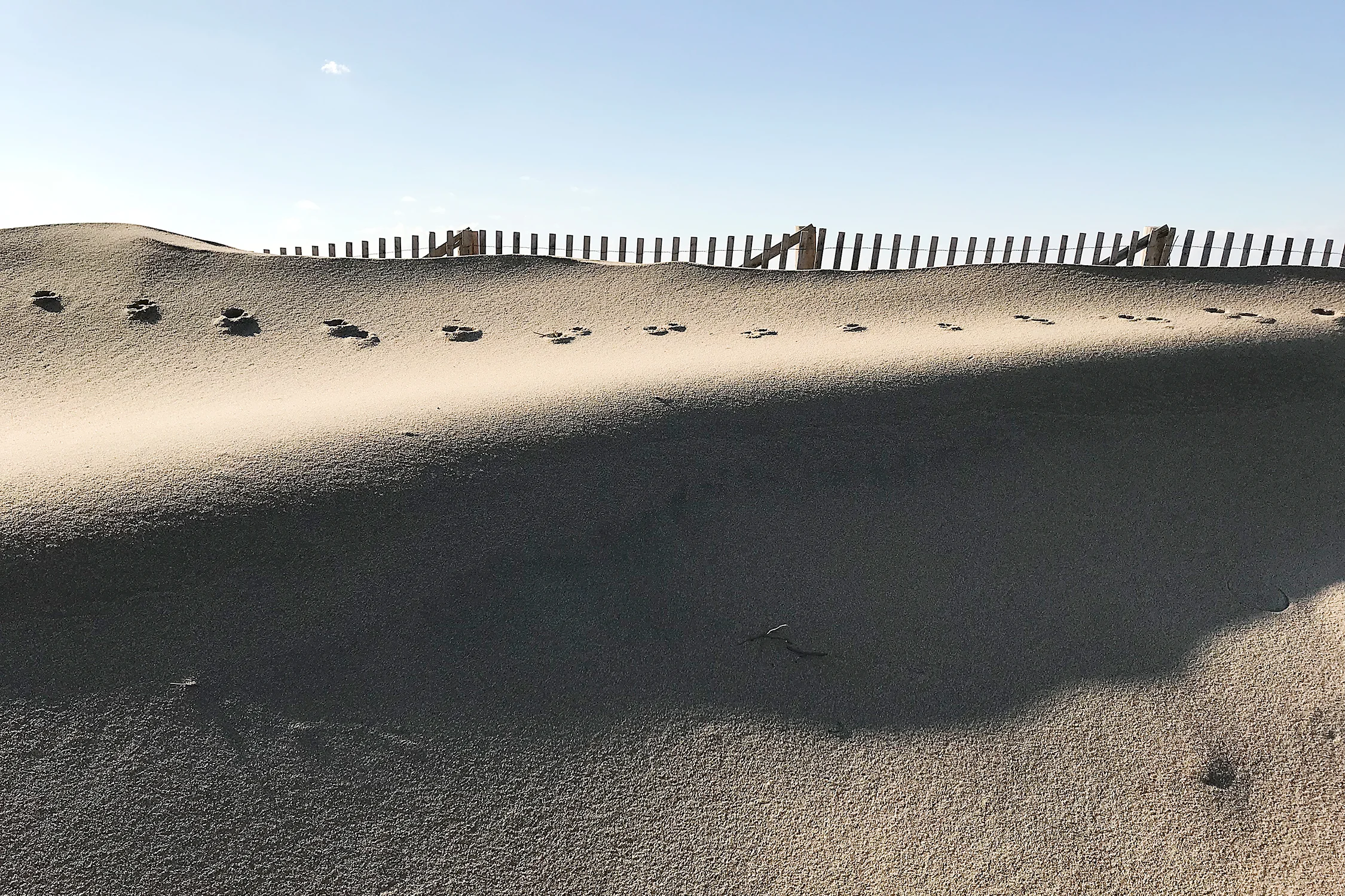 Dune Fence