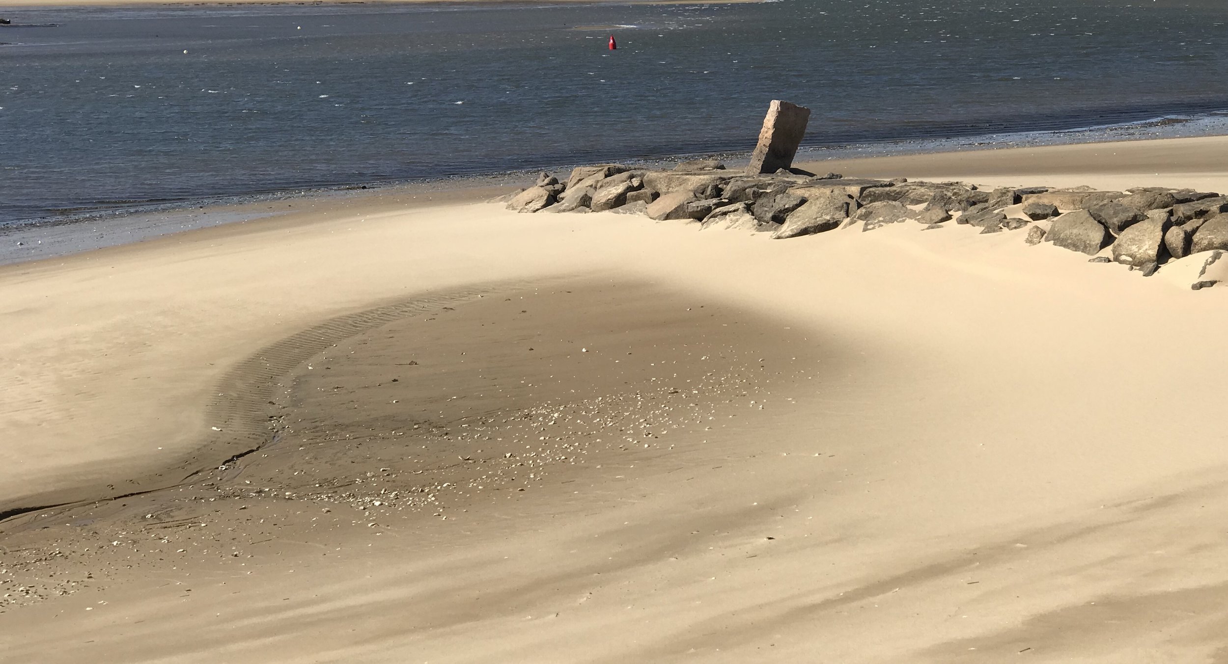 Low Tide Glow (Copy)