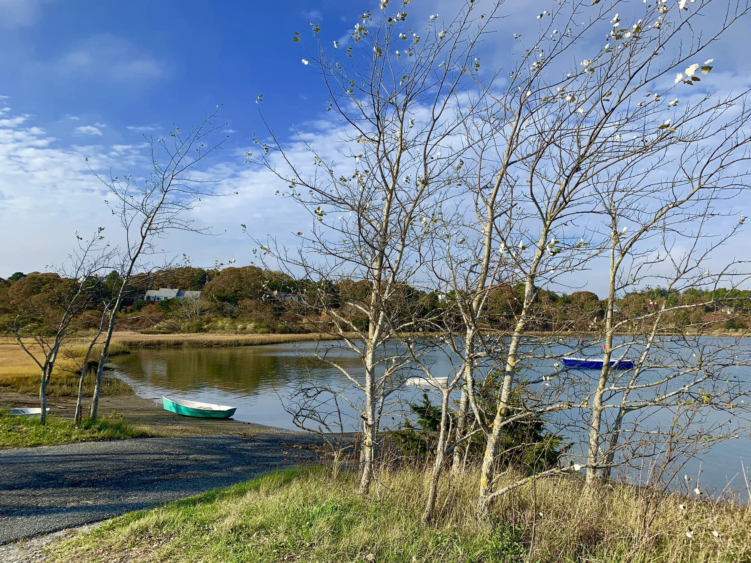 Green Skiff in Winter (Copy)