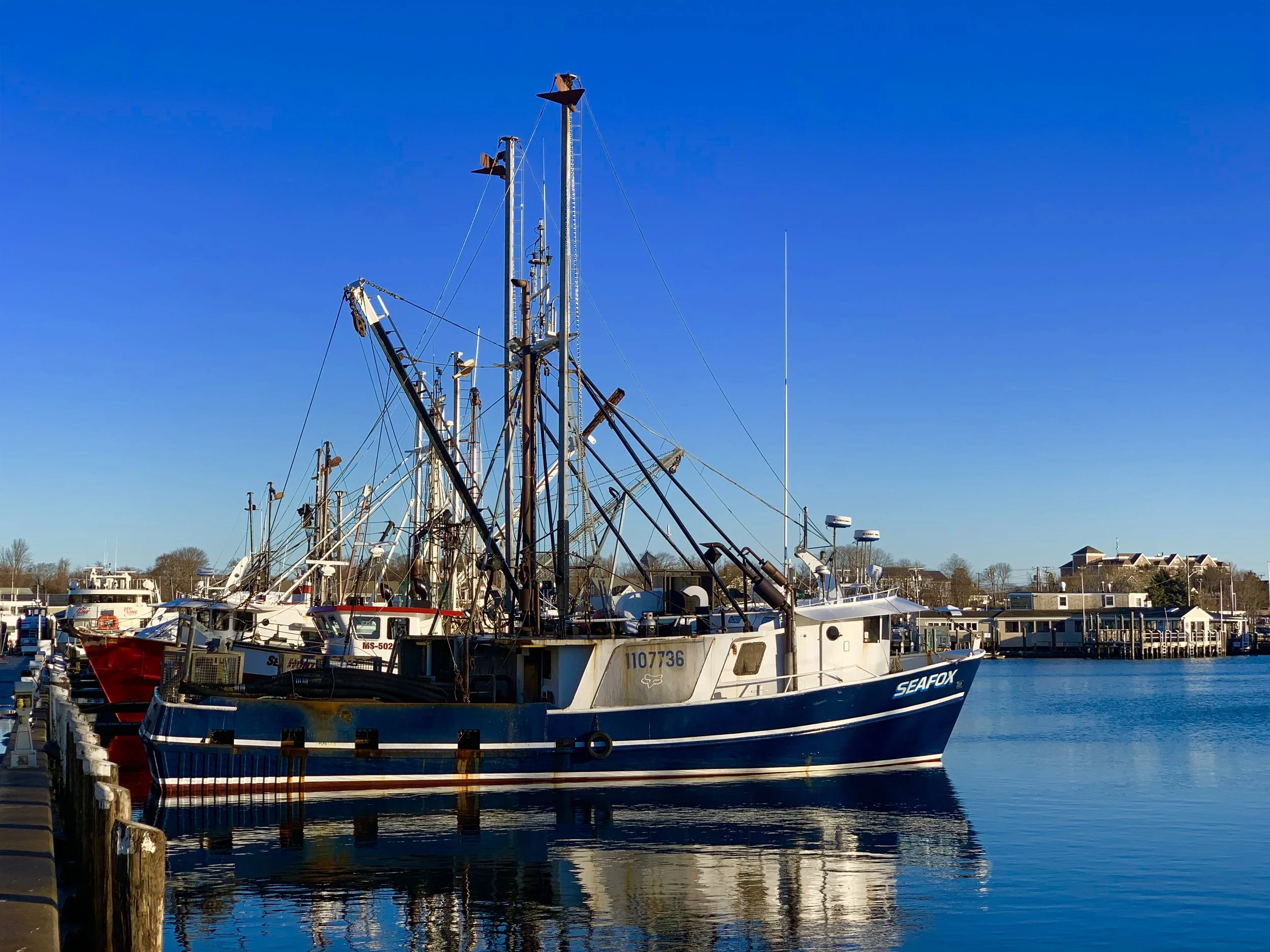 Hyannis Morning Harbor
