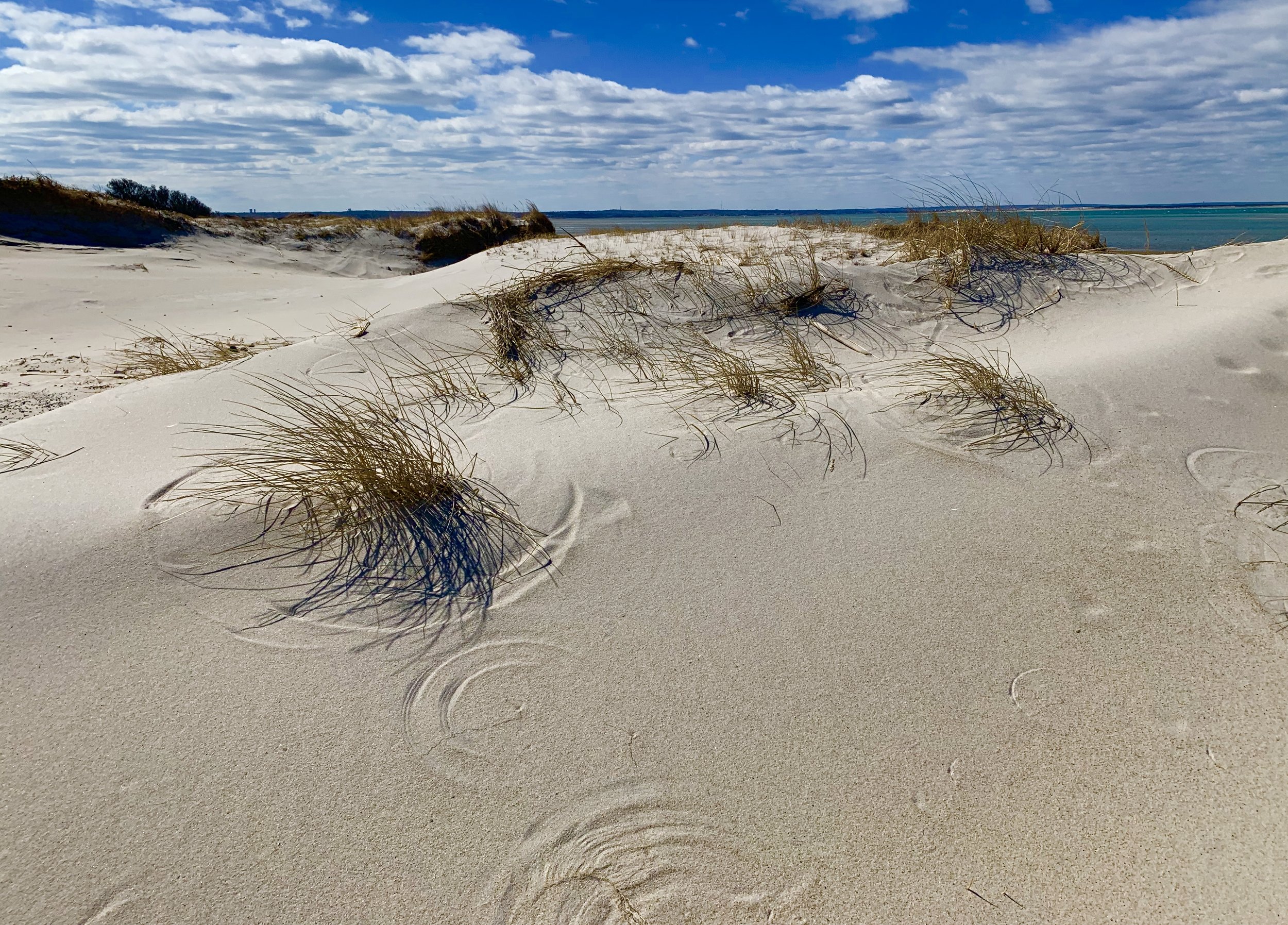 Wind Blowing at Chapin Beach