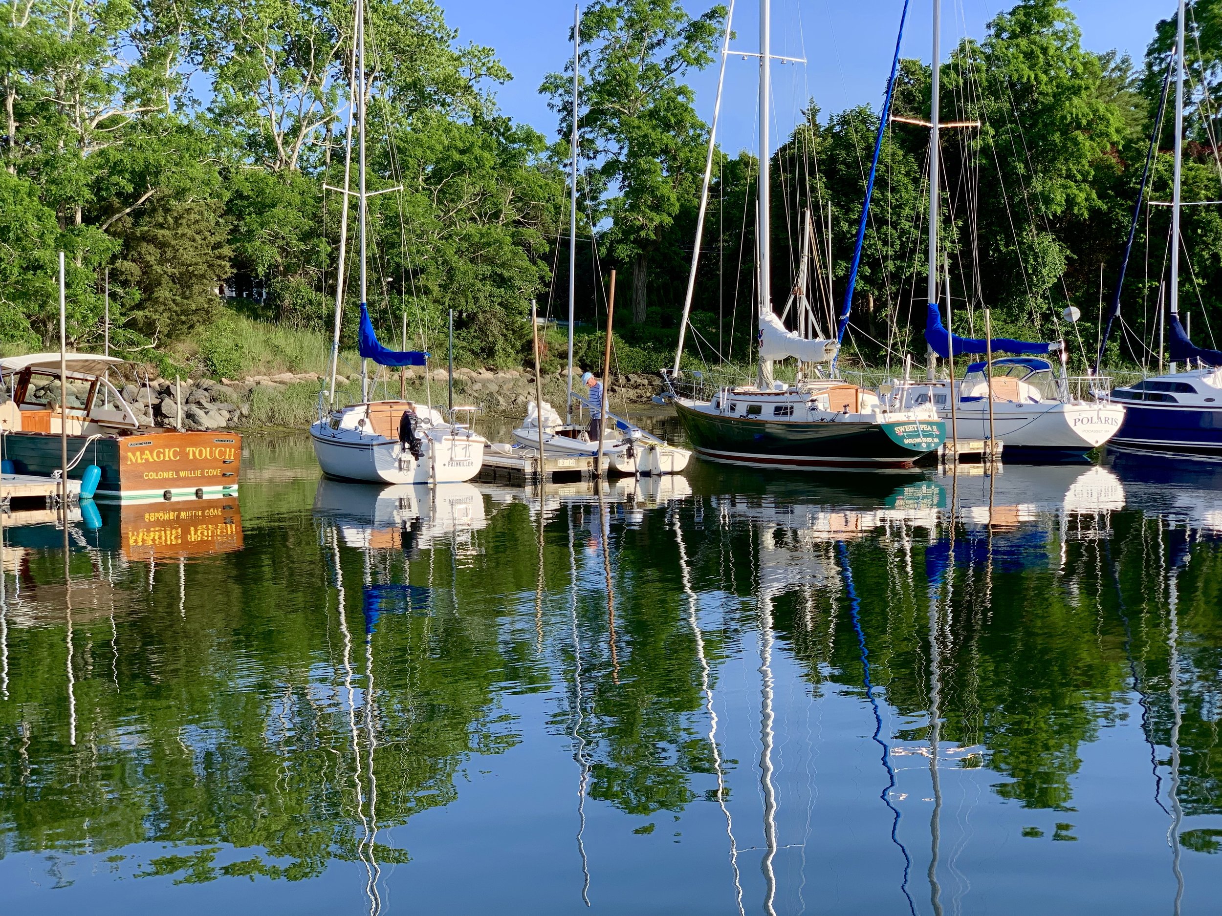 River Reflections