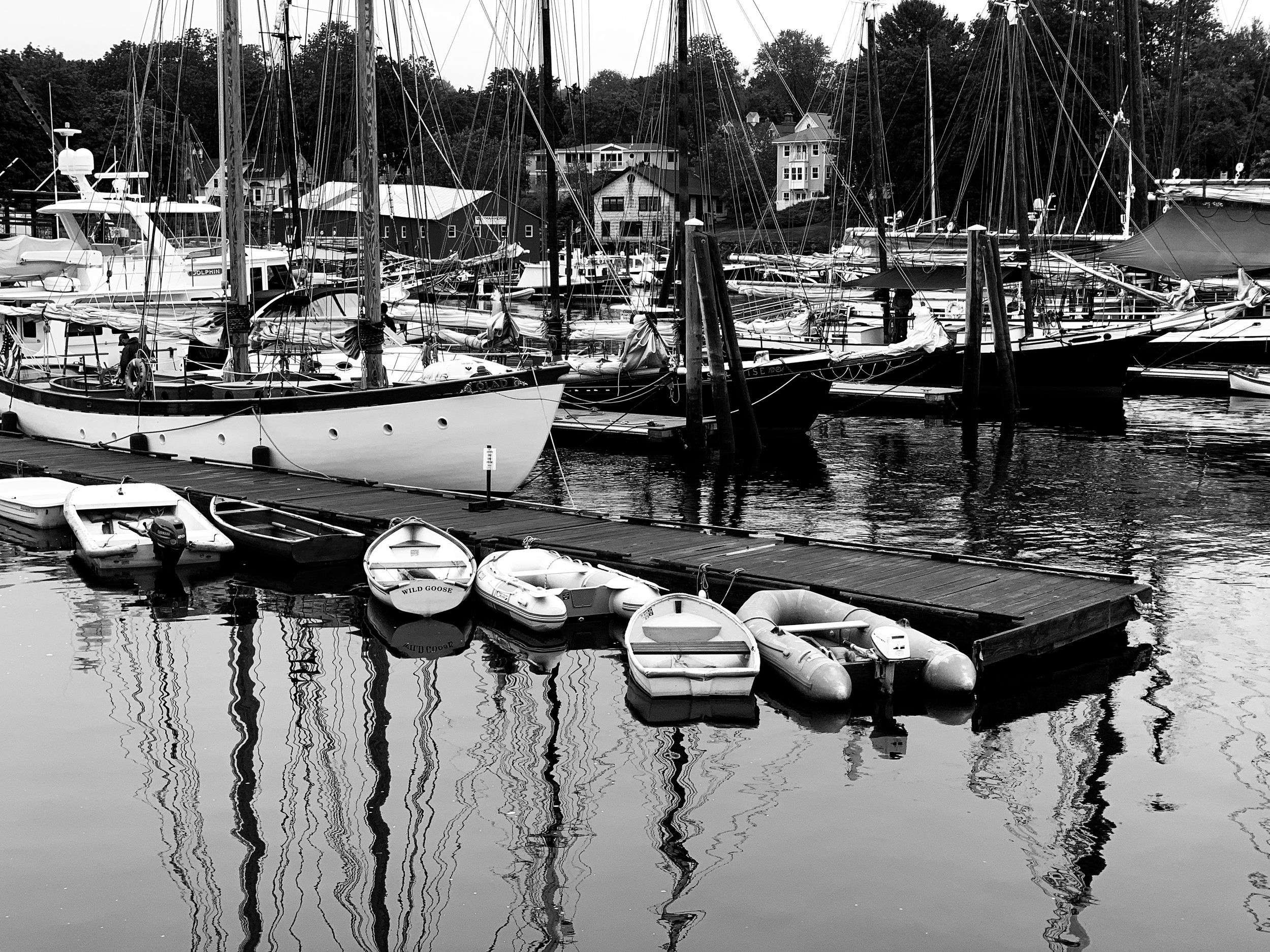 If you would like to order a print or note card of this image, please note the title, and, click here.