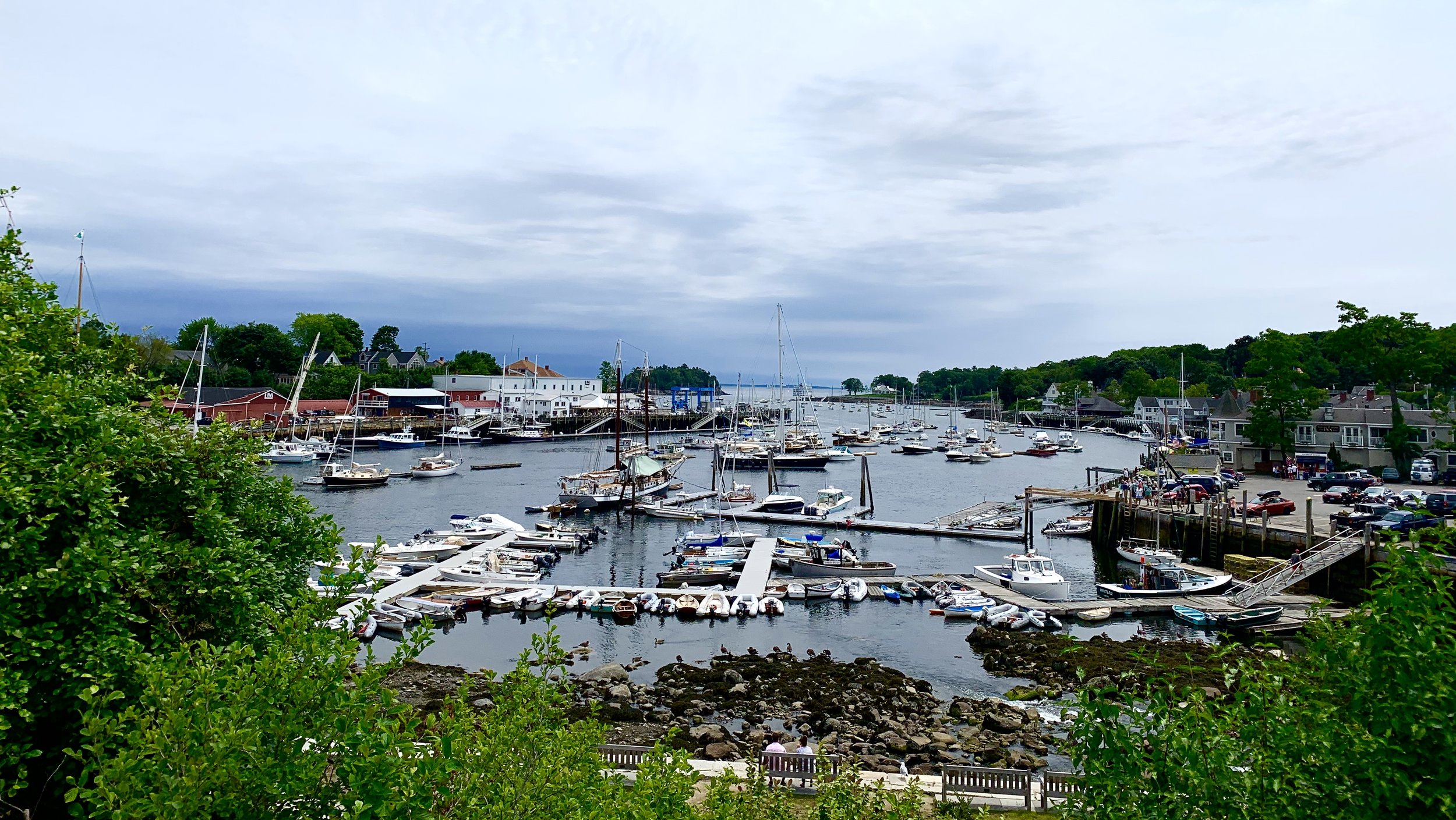 Camden Harbor Scene