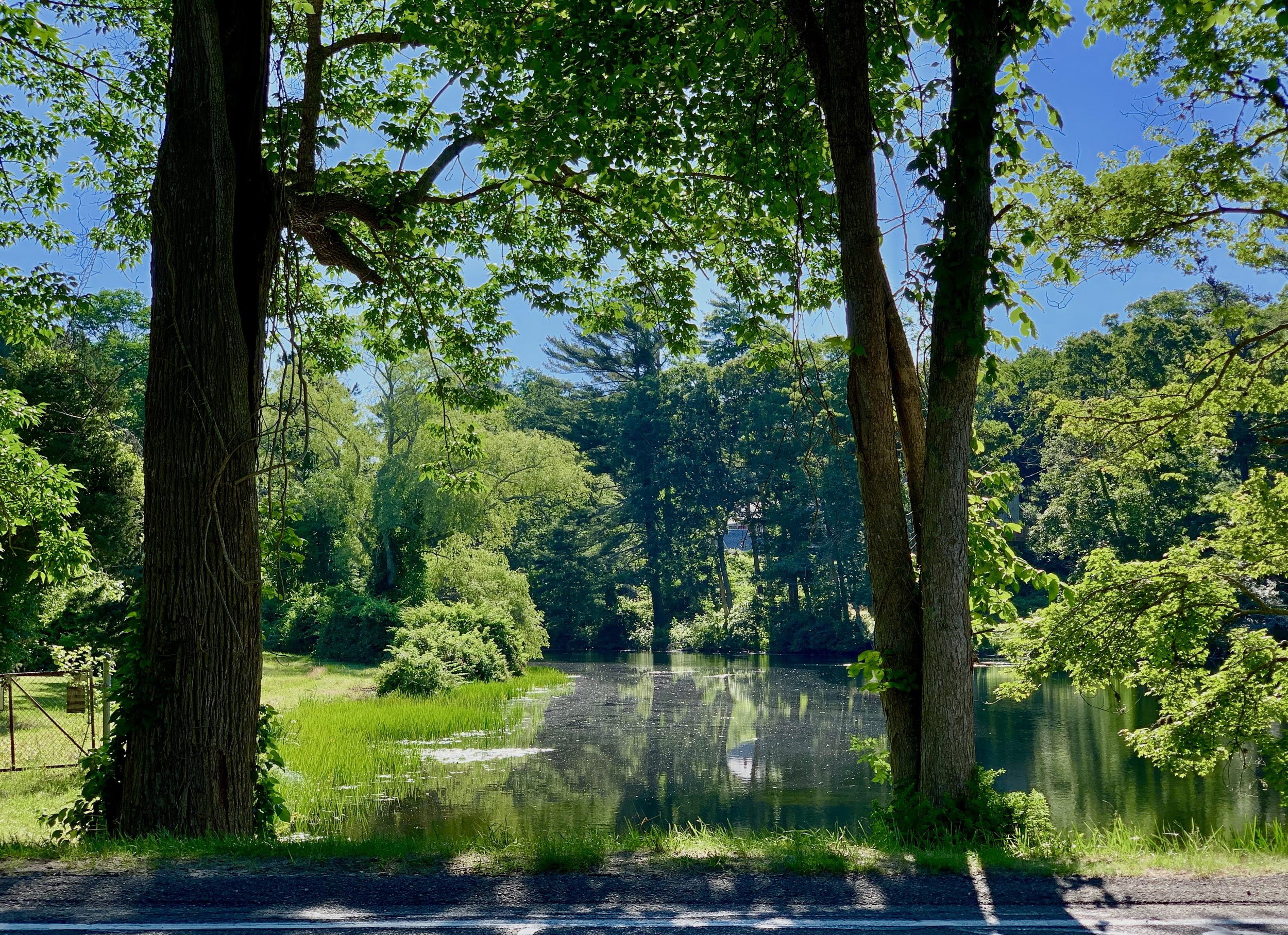 River Paradise