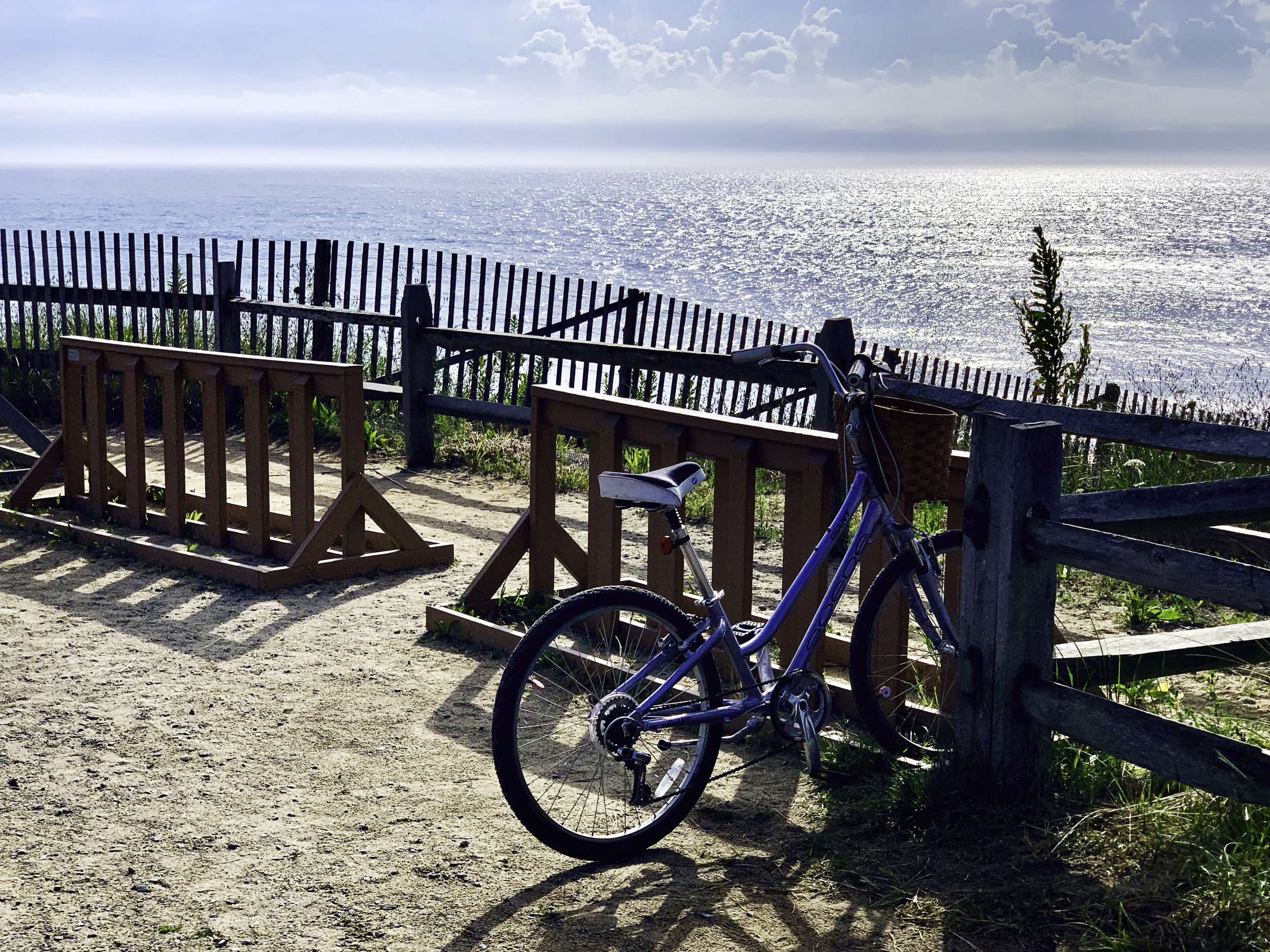Bicycle with View