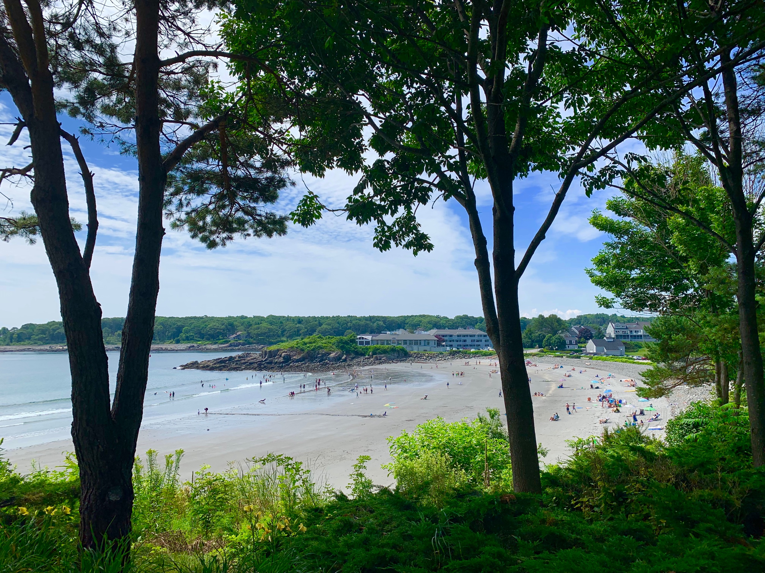 Beach through the Trees