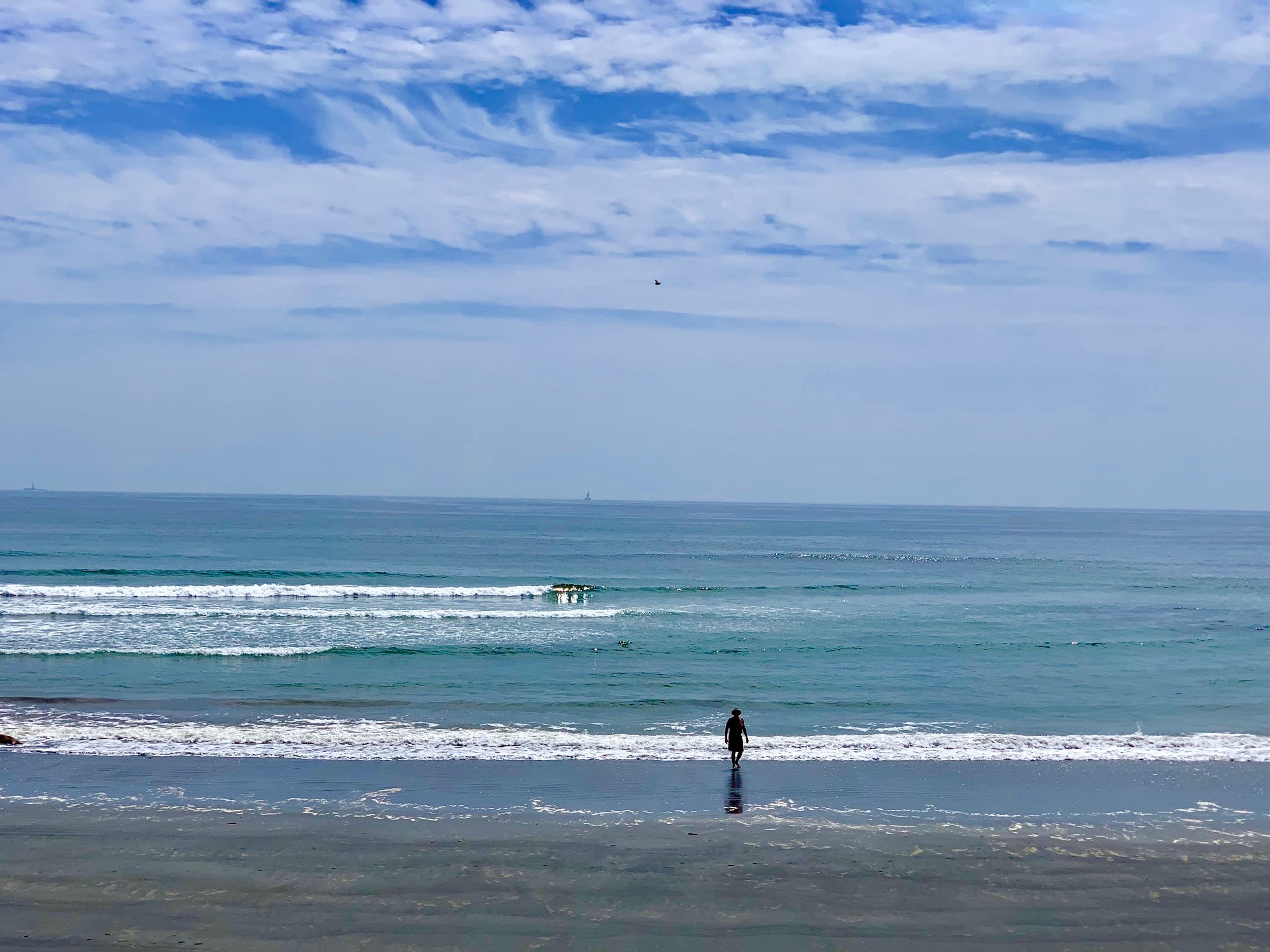 Solitary Scene
