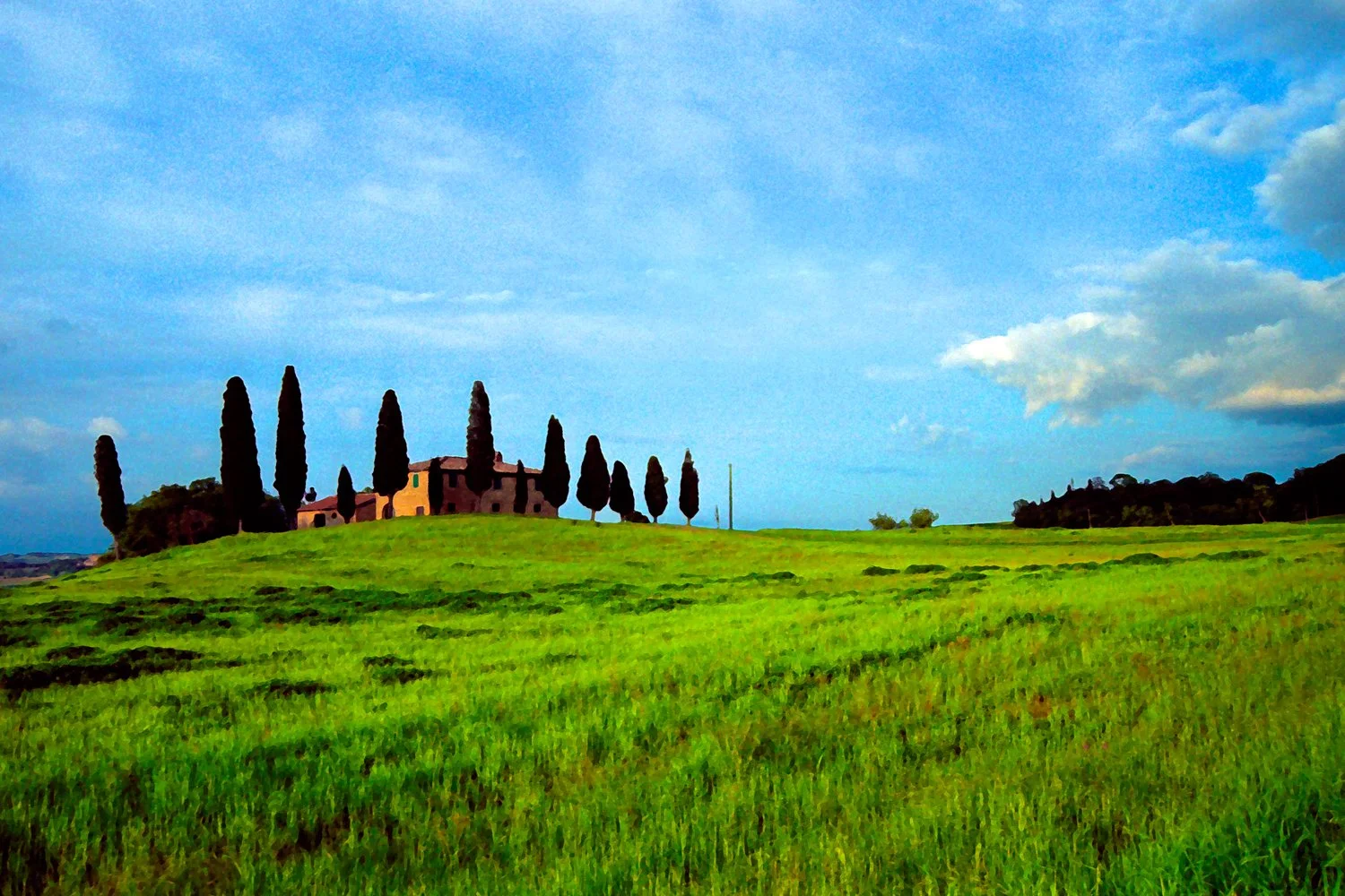 i cipressini.jpg