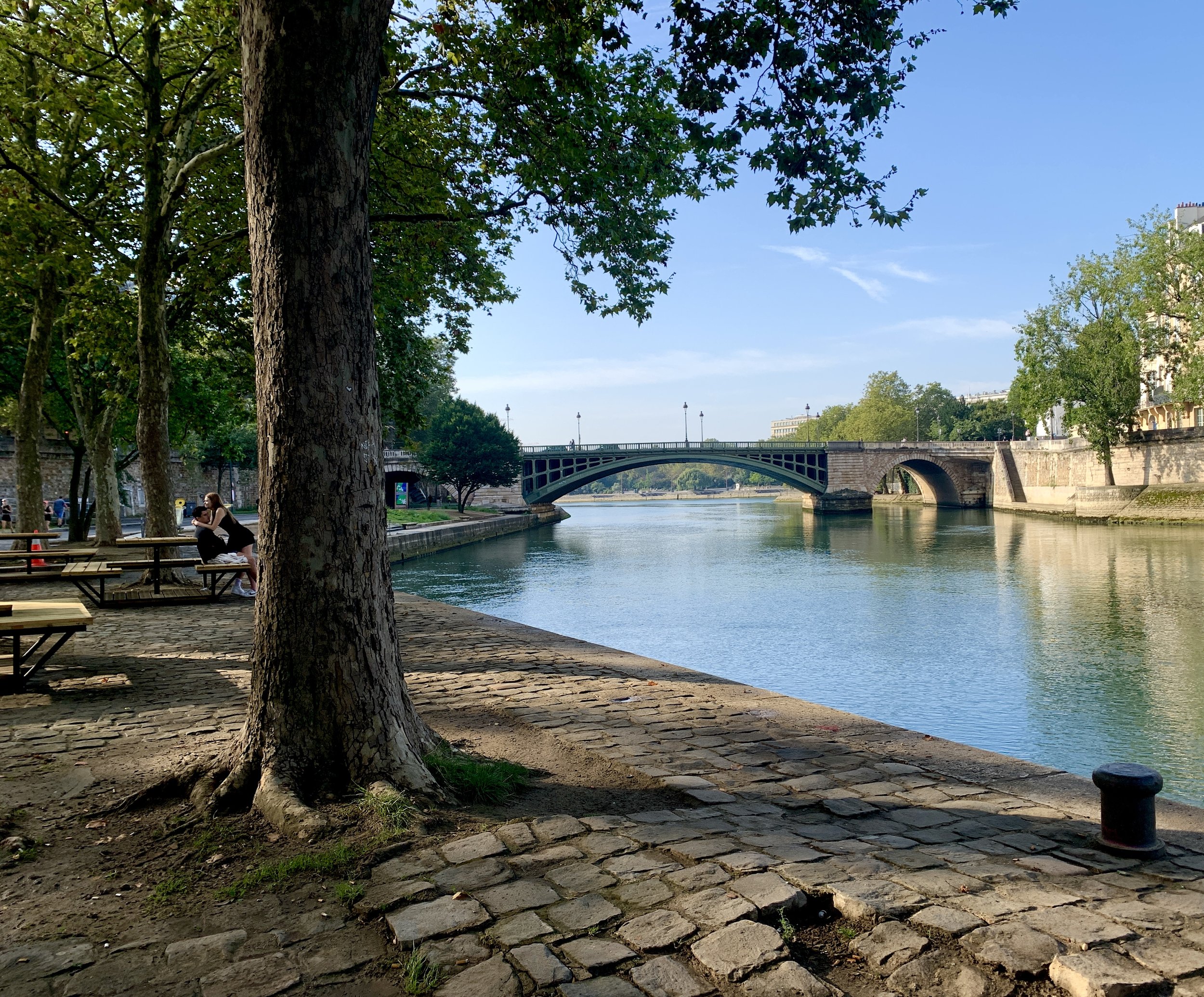 Love on the Seine, Paris