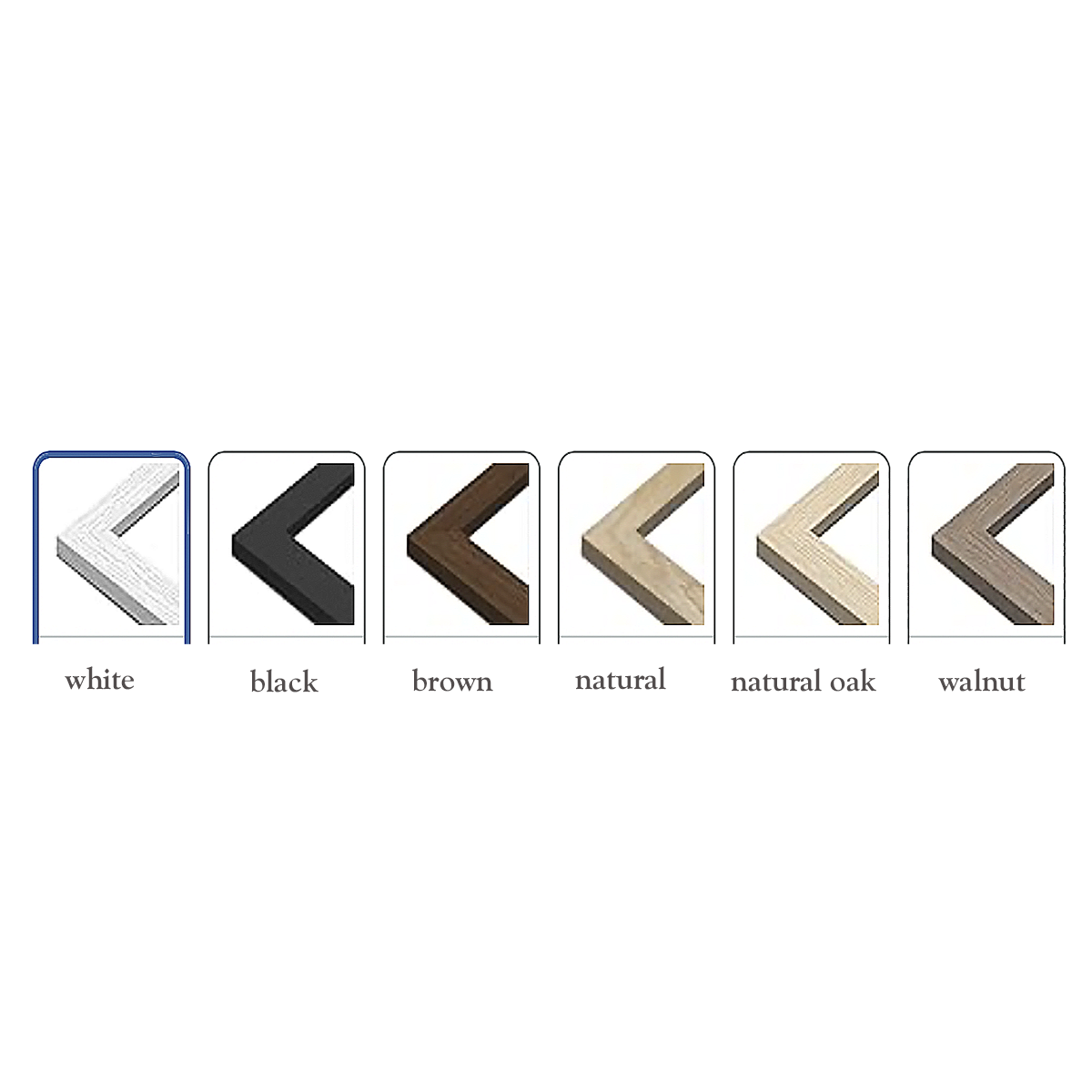 all 1 canvas labeled.png