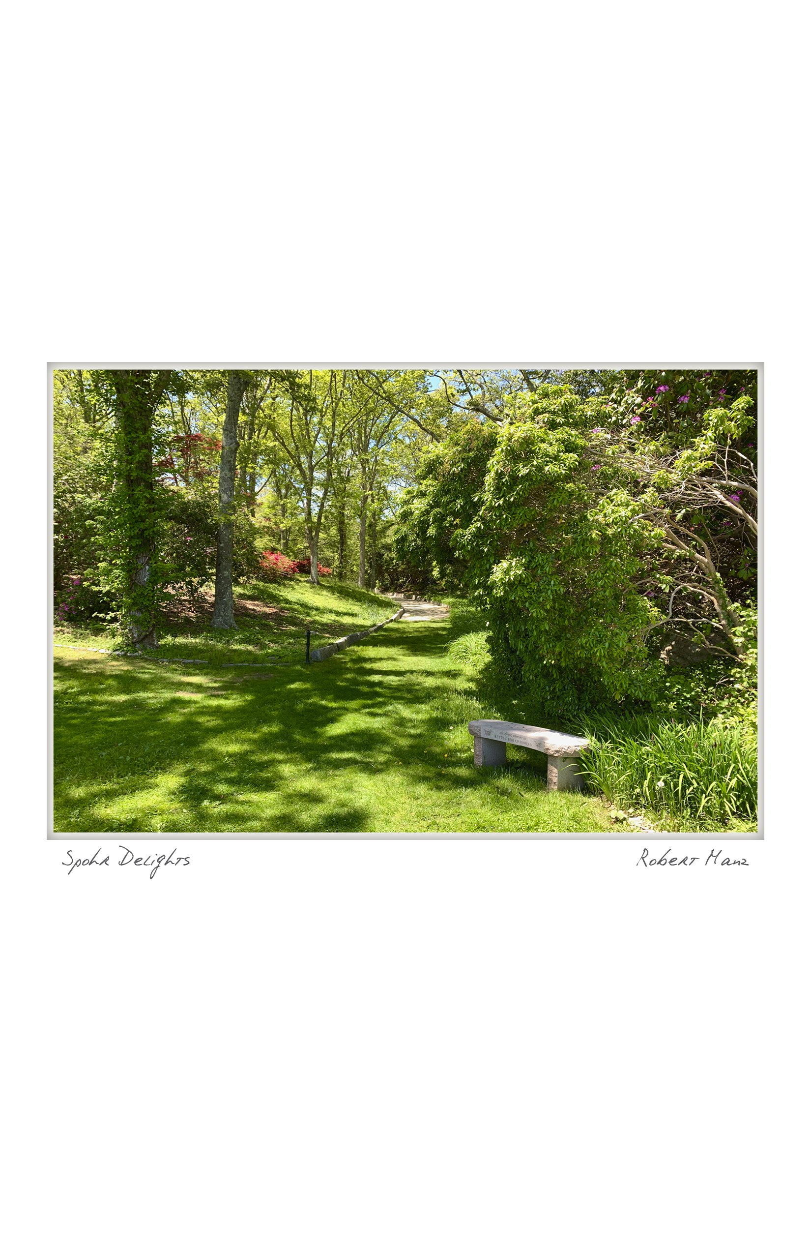 Spohr Delights, Falmouth, Massachusetts