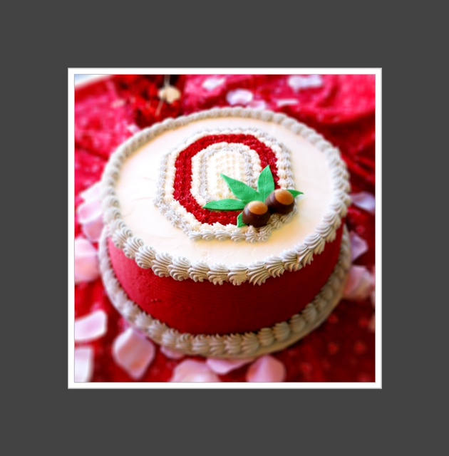ohio+state+cake.jpg