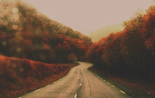 Finding Your Inner Wisdom to Reclaim Your Story