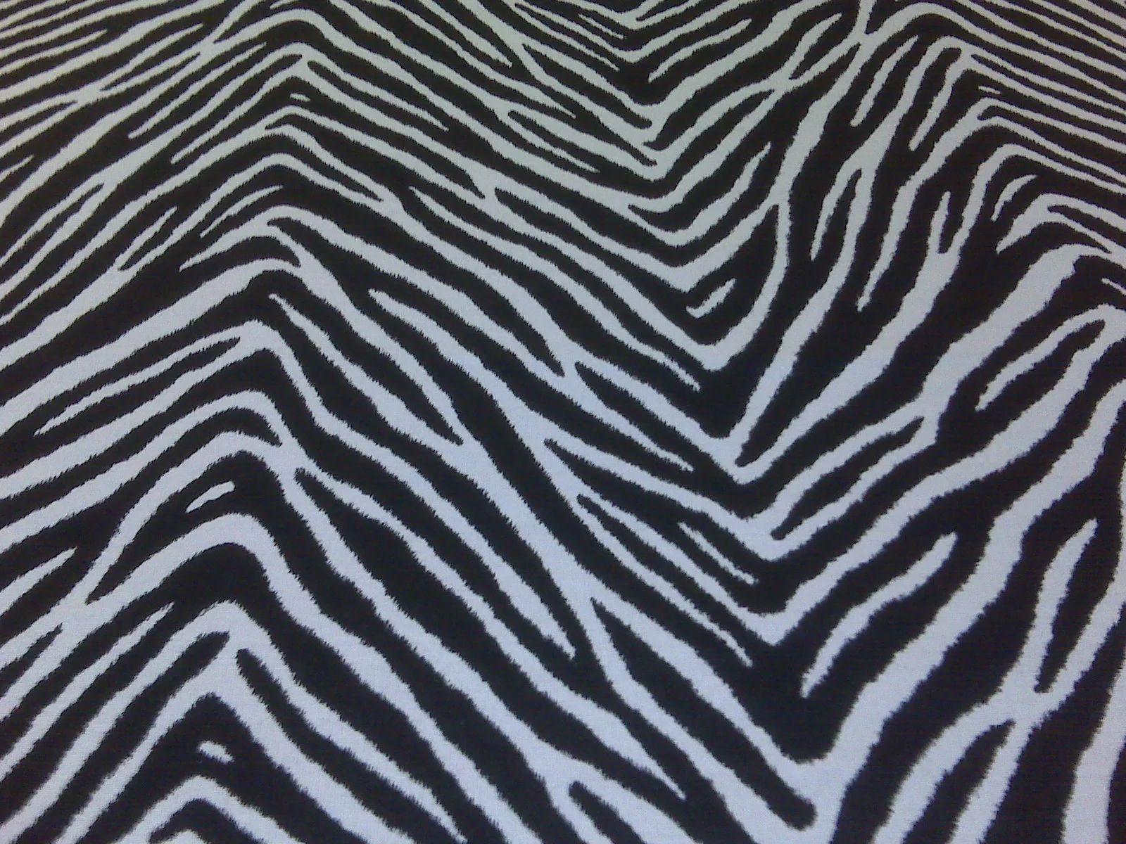 this zebra print will be a flat roman shade & pillows.