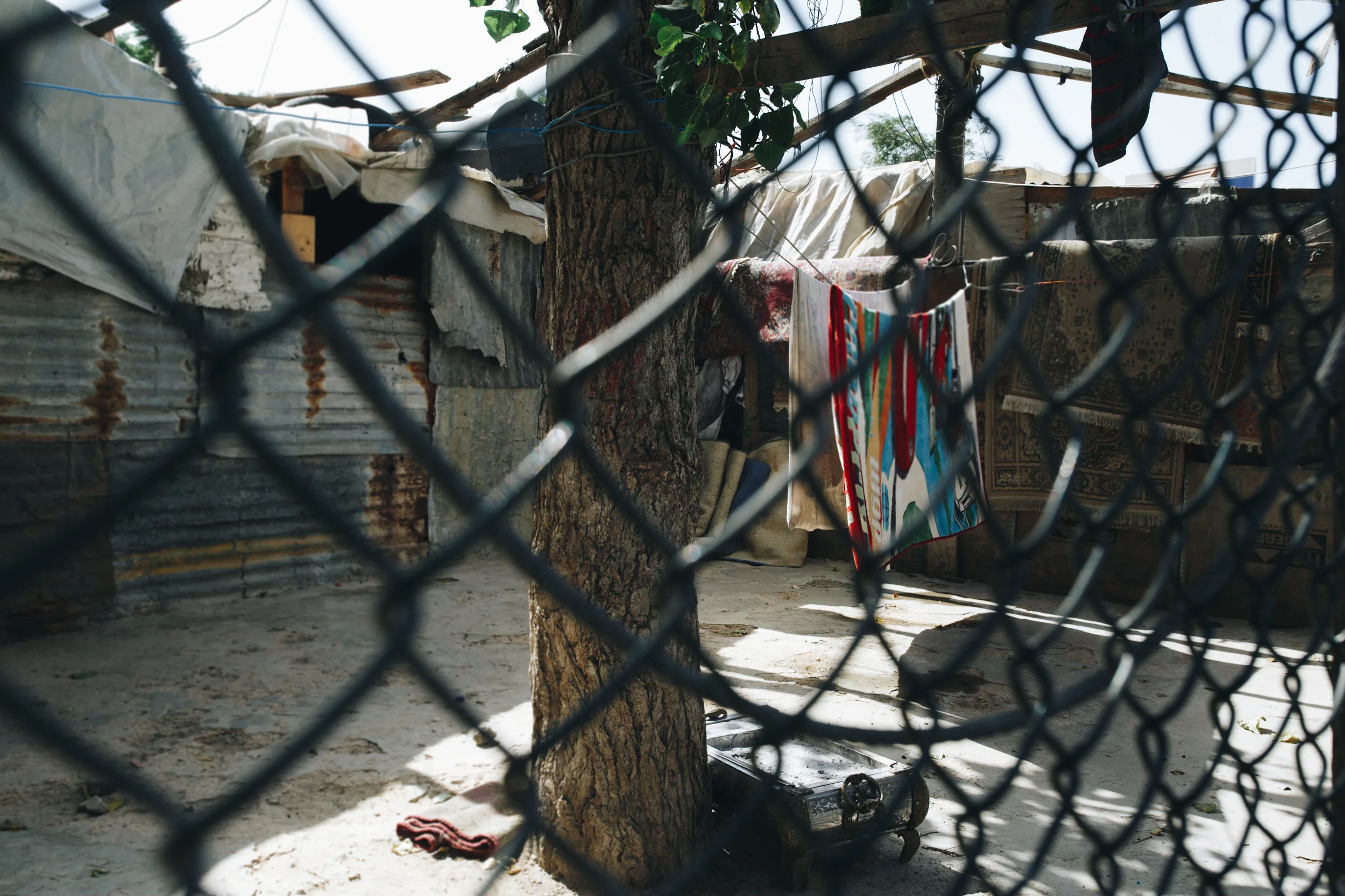 Ain el-Hilweh-4668.jpg