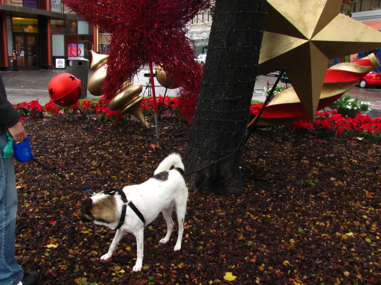 New Year's Resolutions