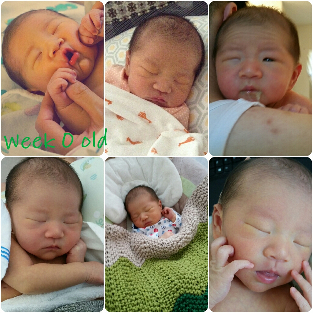 Logan in his first week. Squishy but pretty skinny.