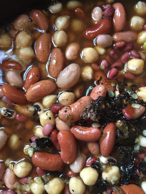 The test beans! 