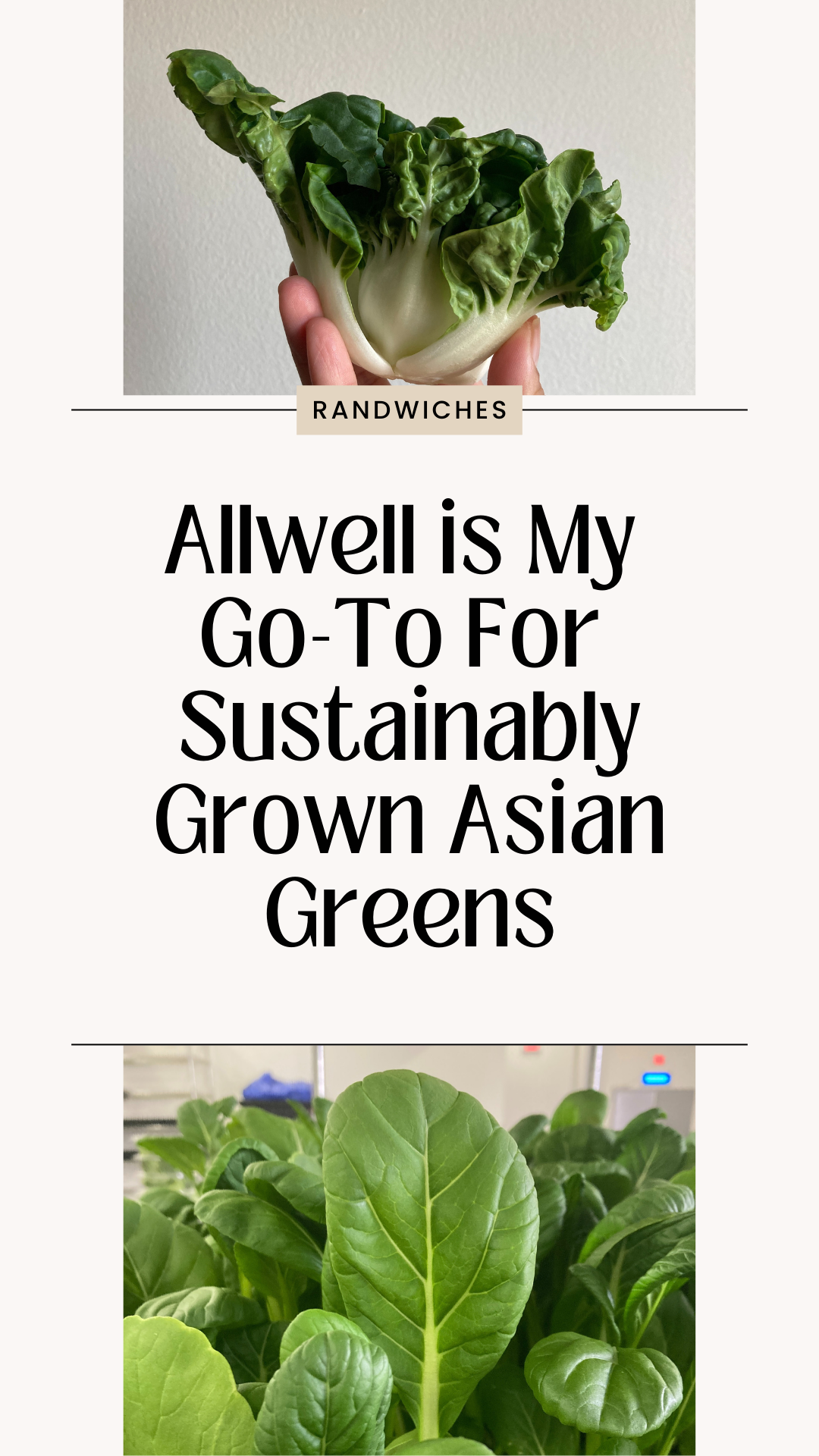 Allwell Is My Go To For Local Sustainably Grown Asian Greens - AD