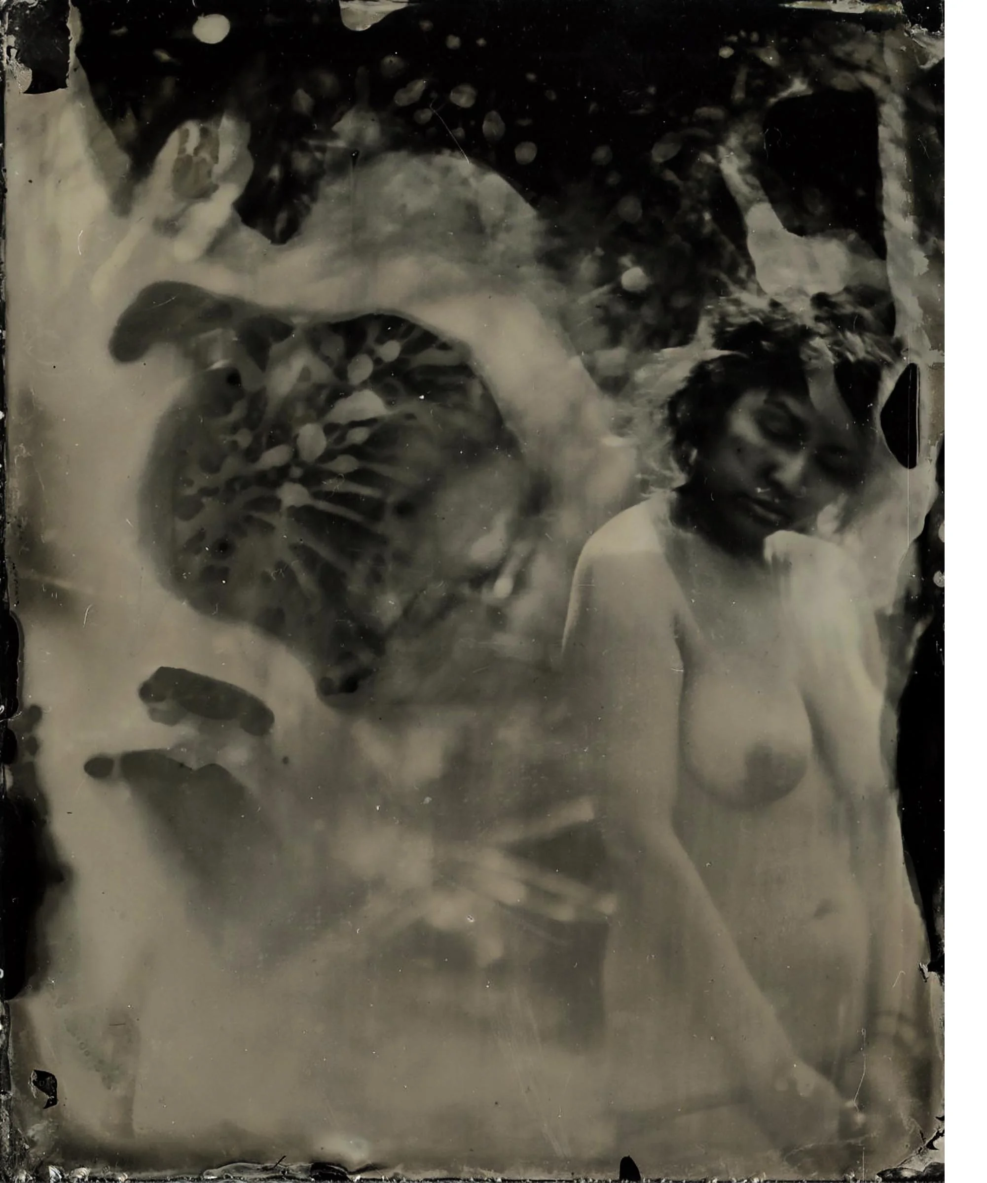 portambrotype.jpg