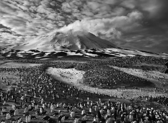 Sebastiao-Salgado_Genesis_09-7-10491.jpg